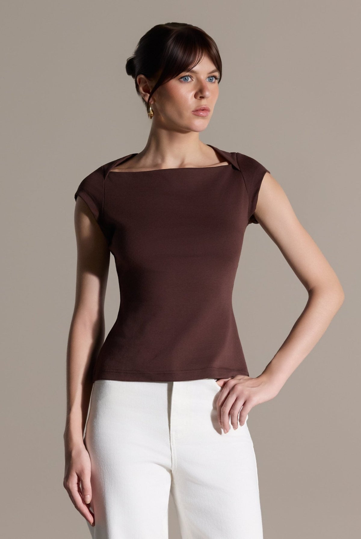Brown Cap Sleeve Fitted Top - shopaleena