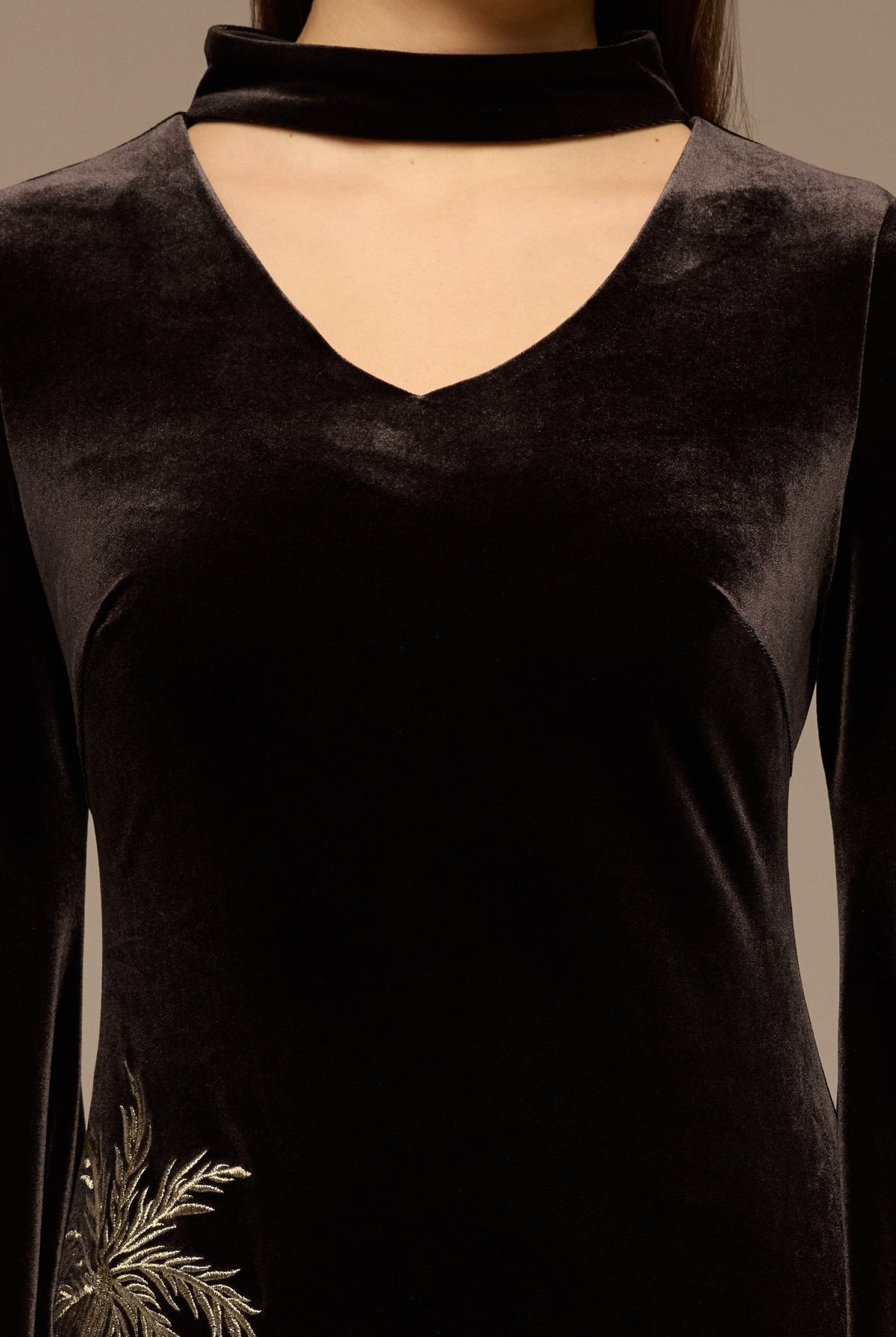 Brown Embroidered Velvet Maxi Dress - shopaleena