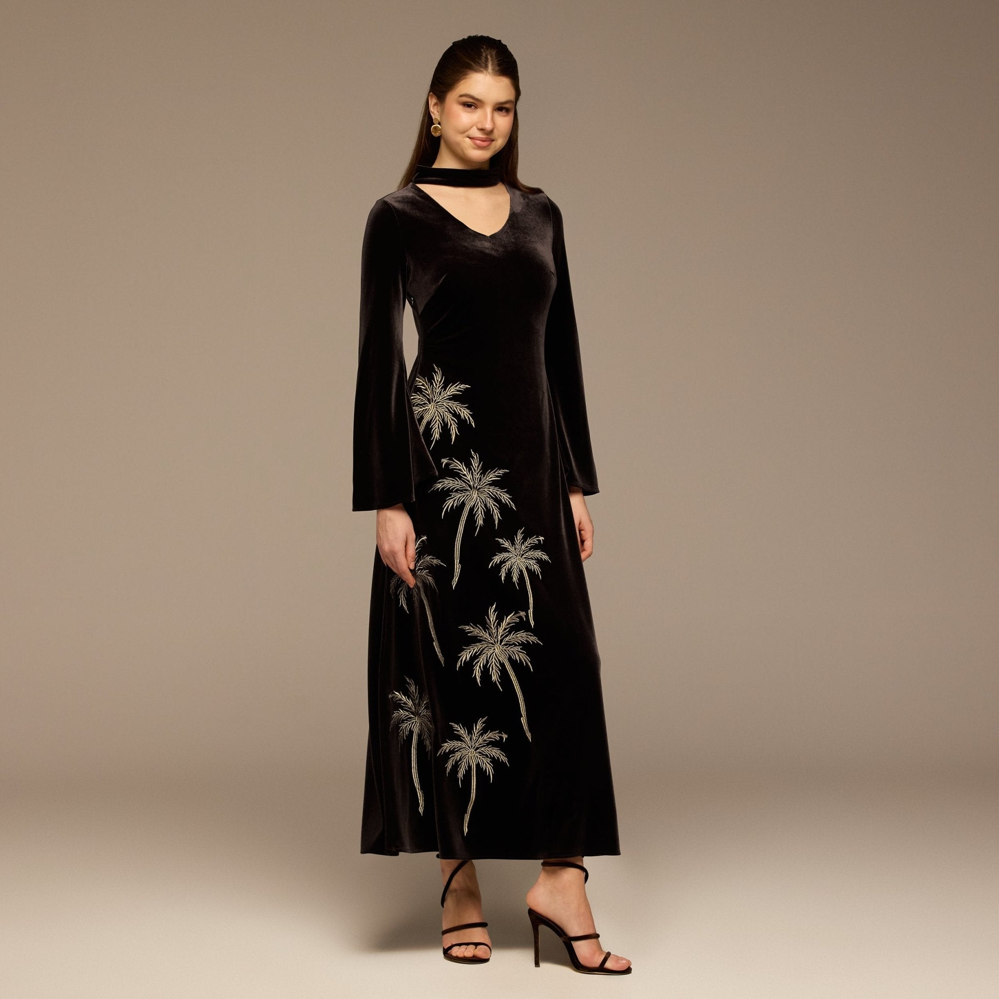 Brown Embroidered Velvet Maxi Dress - shopaleena