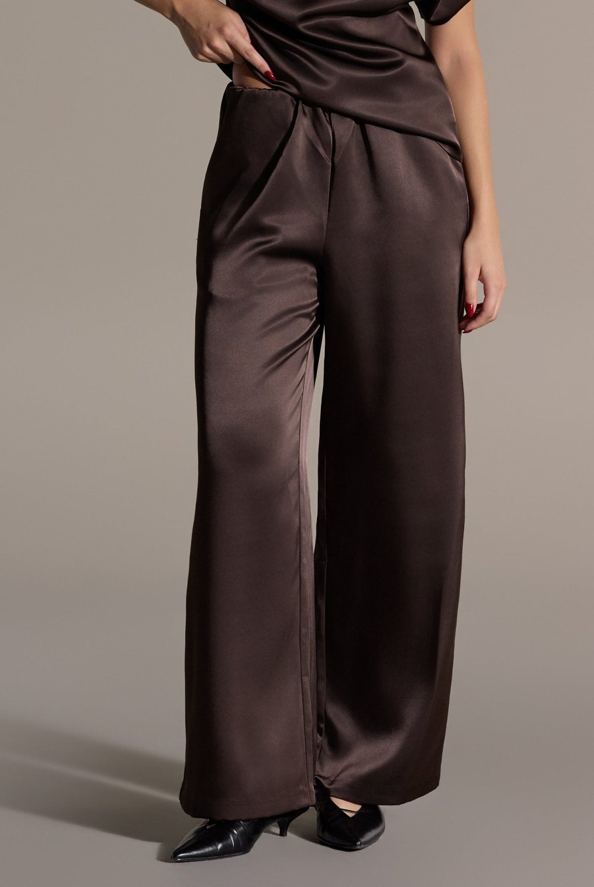 Brown Wide Leg Satin Pants - shopaleena