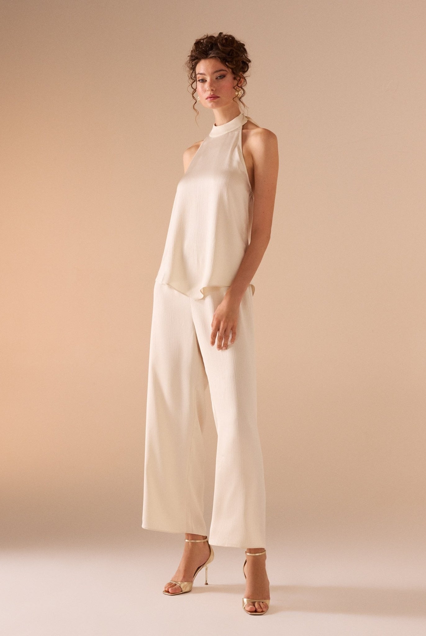 Crinkled satin Halter Neck Top - shopaleena