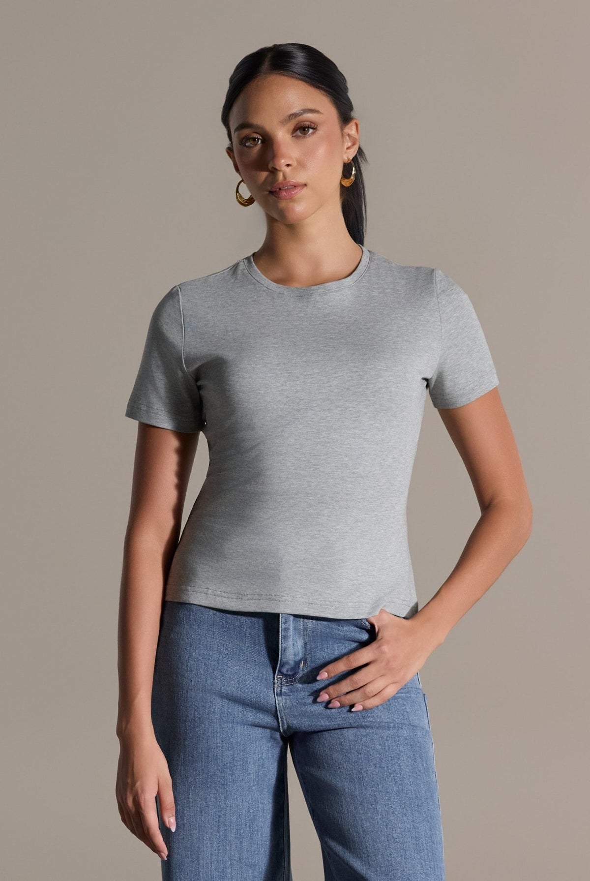 Gray Crew Neck Fitted T-Shirt - shopaleena