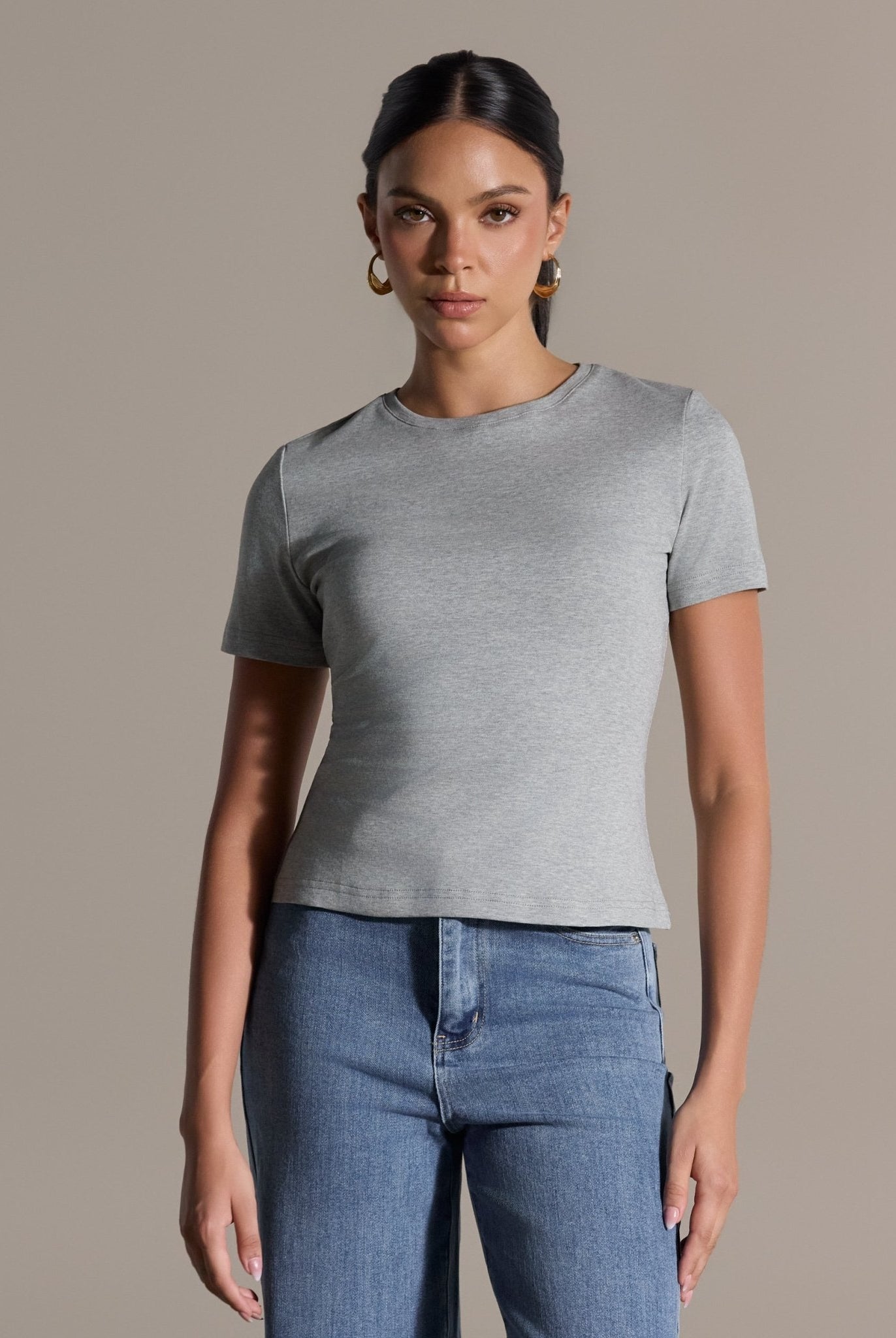 Gray Crew Neck Fitted T-Shirt - shopaleena