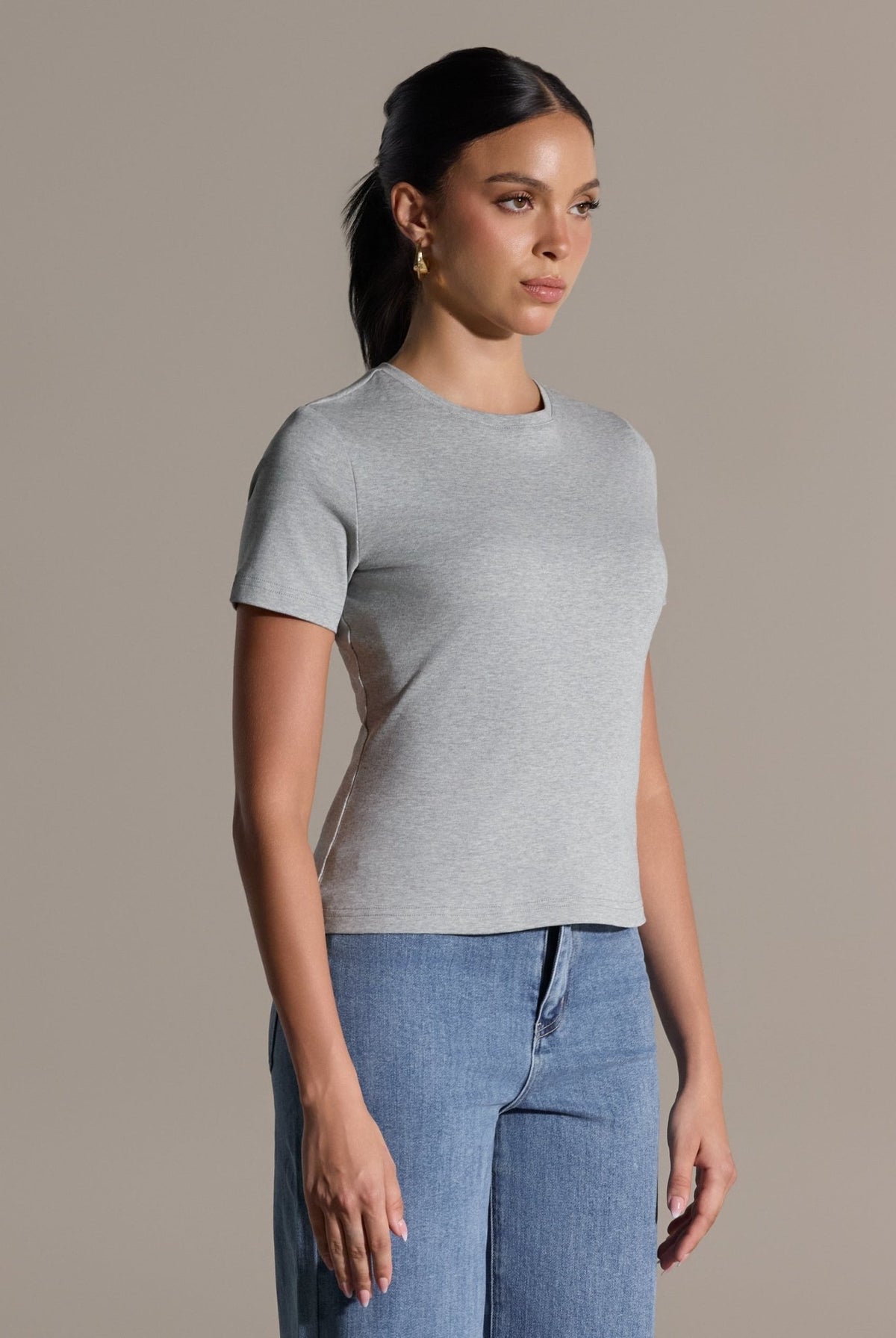 Gray Crew Neck Fitted T-Shirt - shopaleena