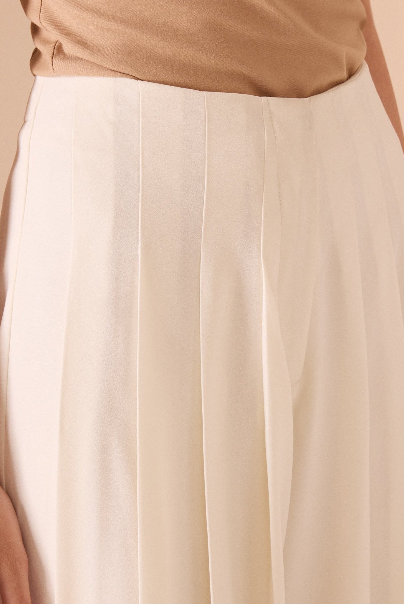 High Waist Pleated Trouser - shopaleena
