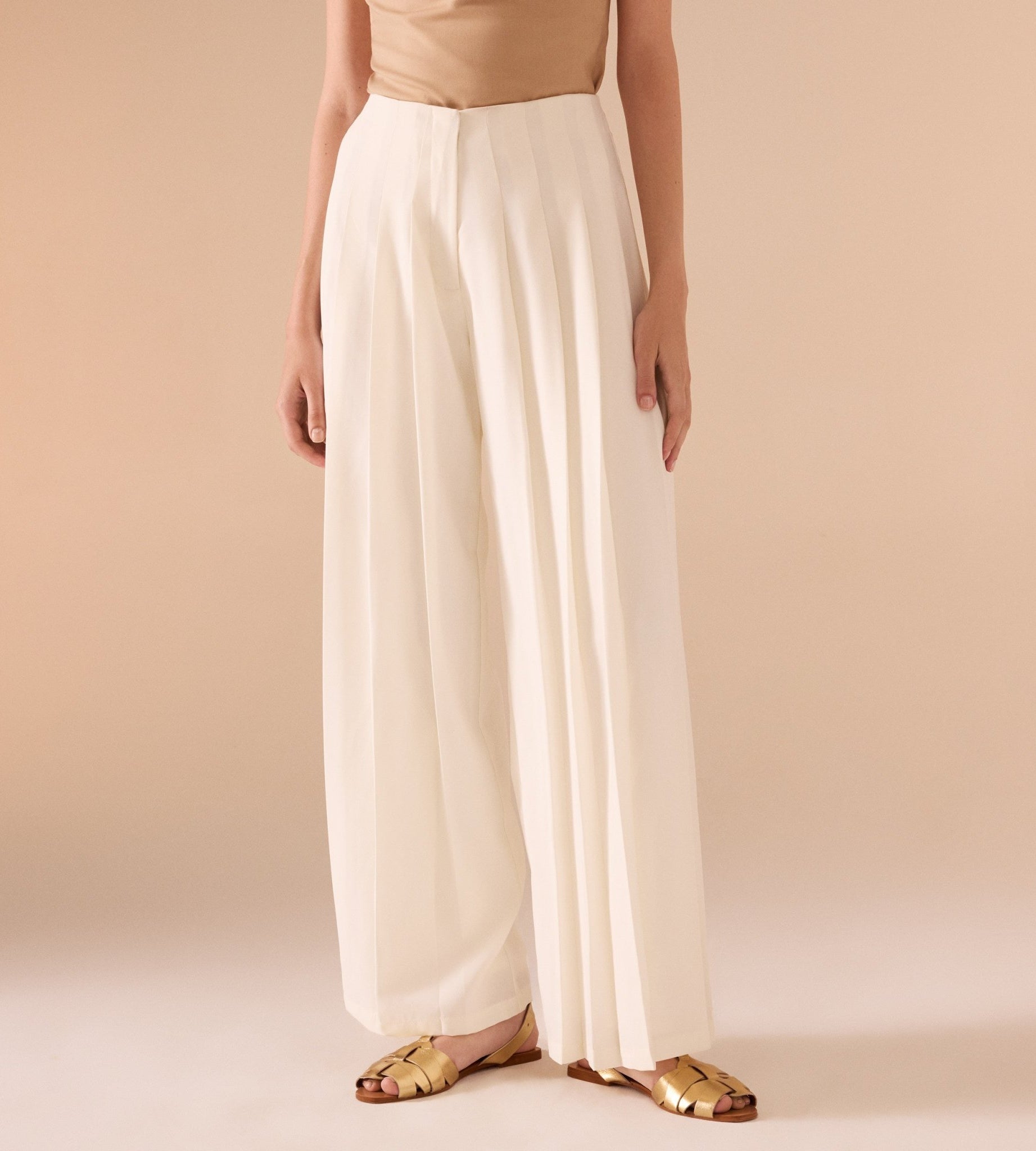 High Waist Pleated Trouser - shopaleena