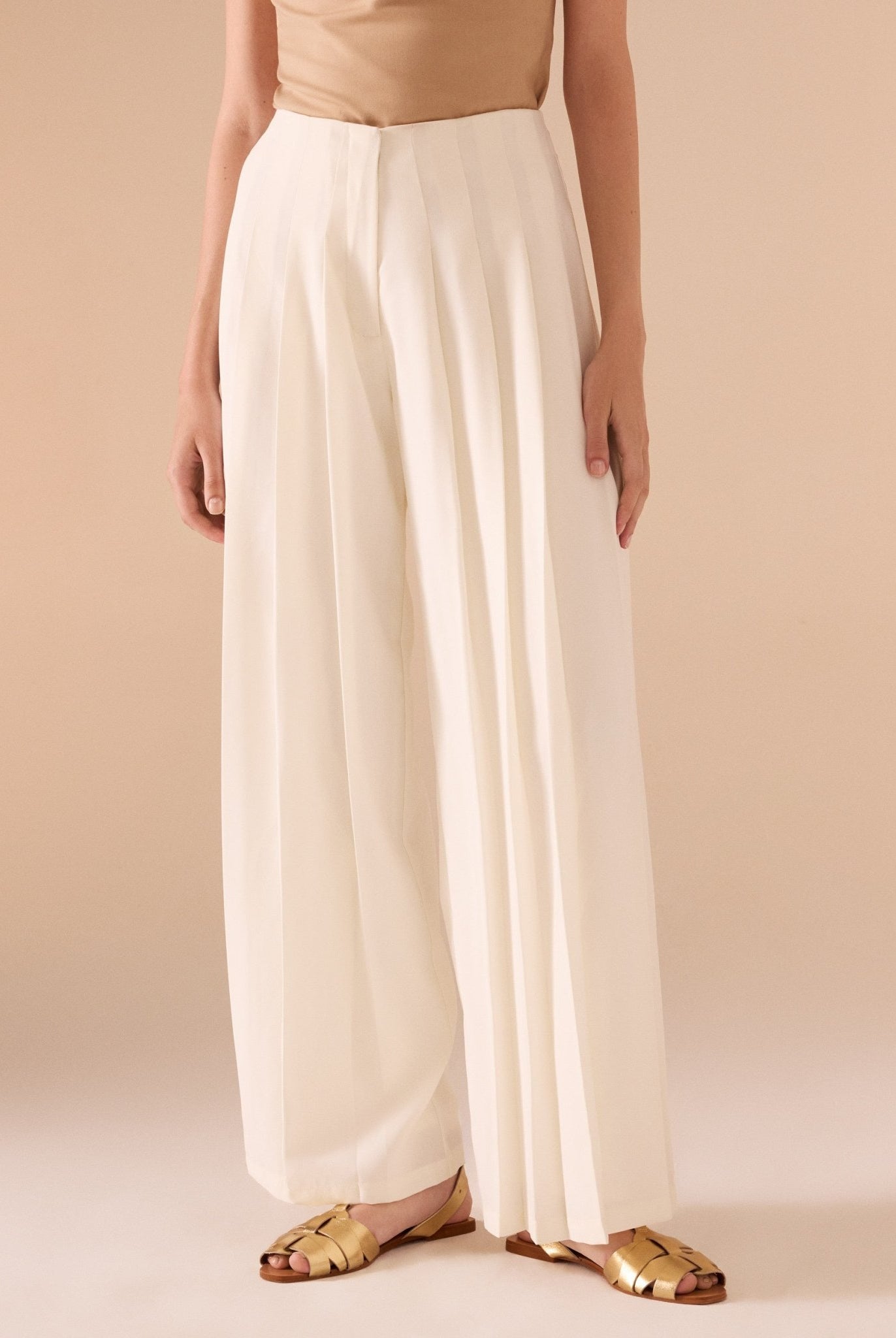 High Waist Pleated Trouser - shopaleena