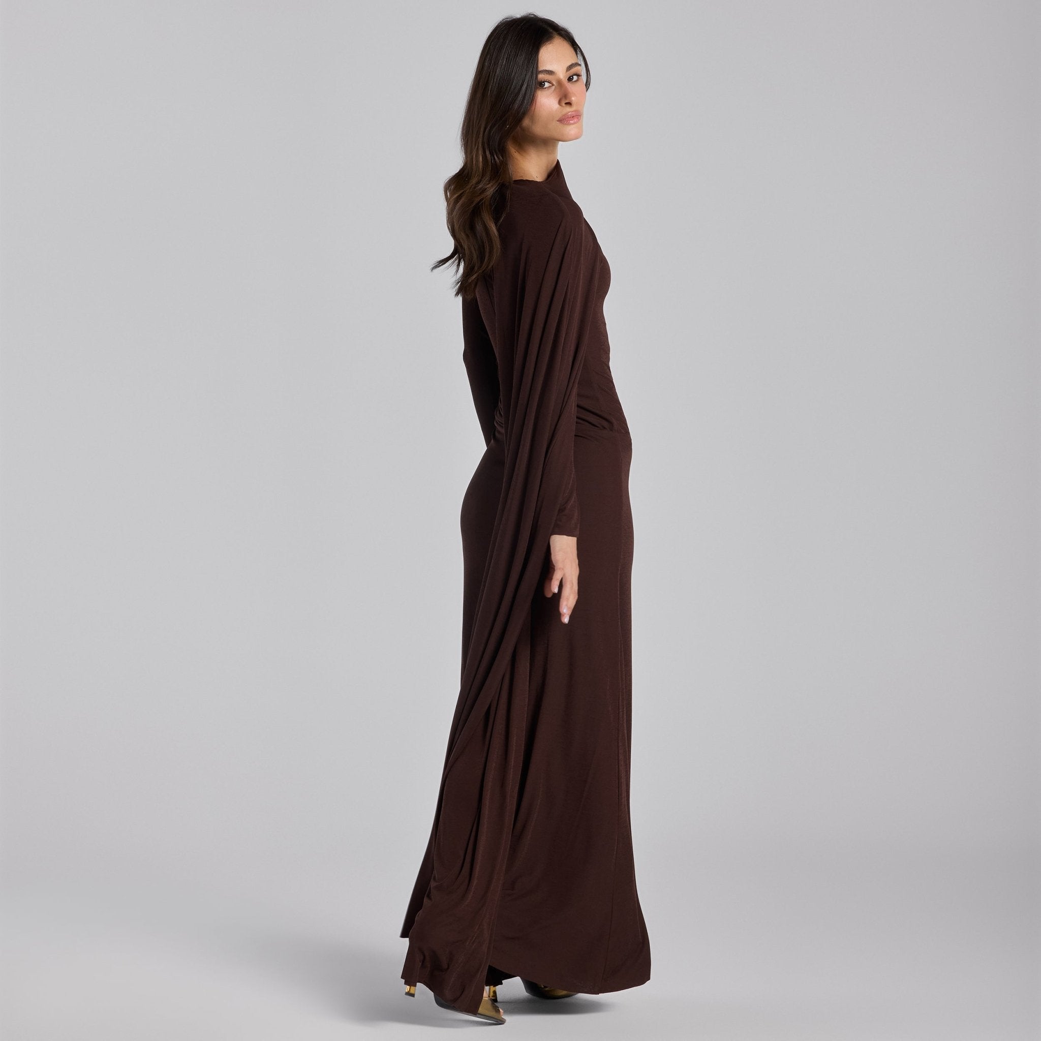 Jersey Draped Maxi Dress with Sleeve Scarf - shopaleena