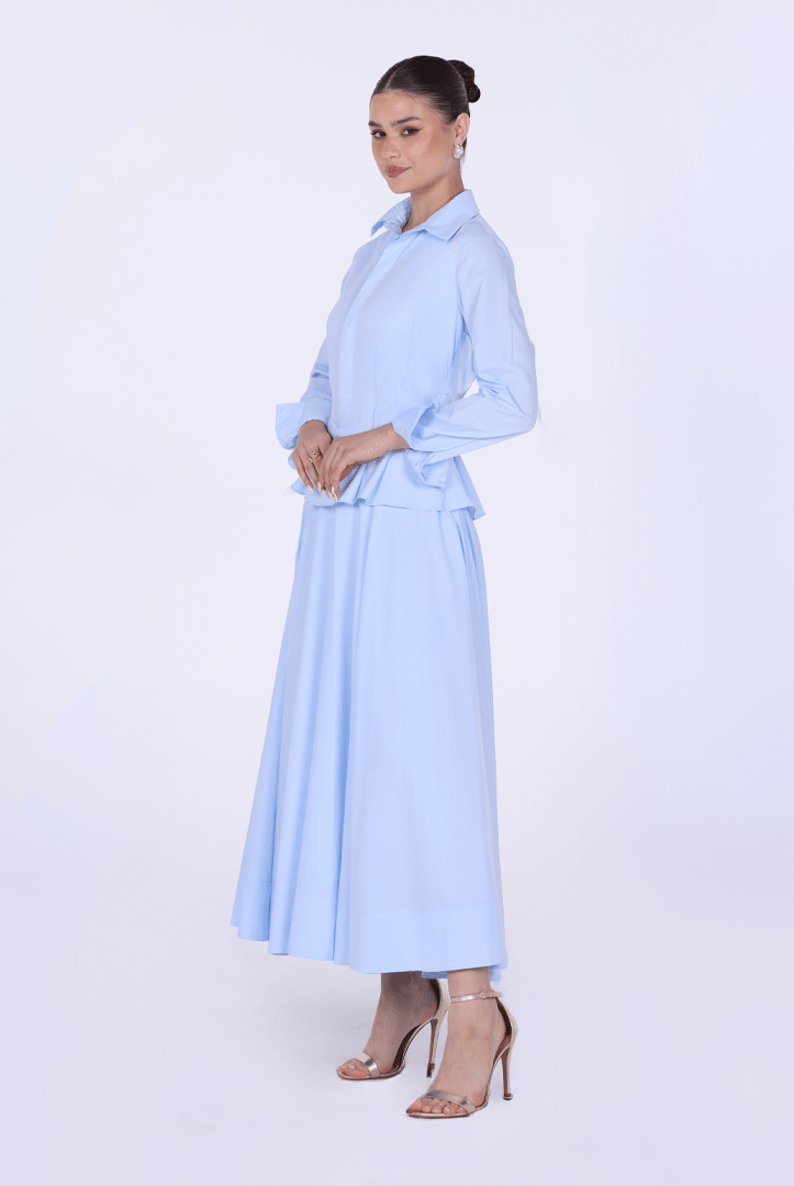 Long Sleeve A - Line Midi Dress with Shirt Collar - shopaleena
