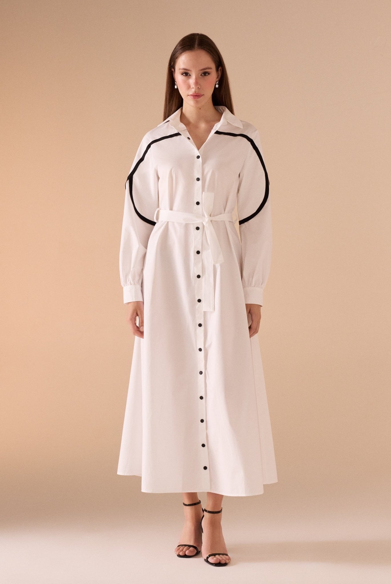 Long Sleeve Maxi Dress with line details - shopaleena