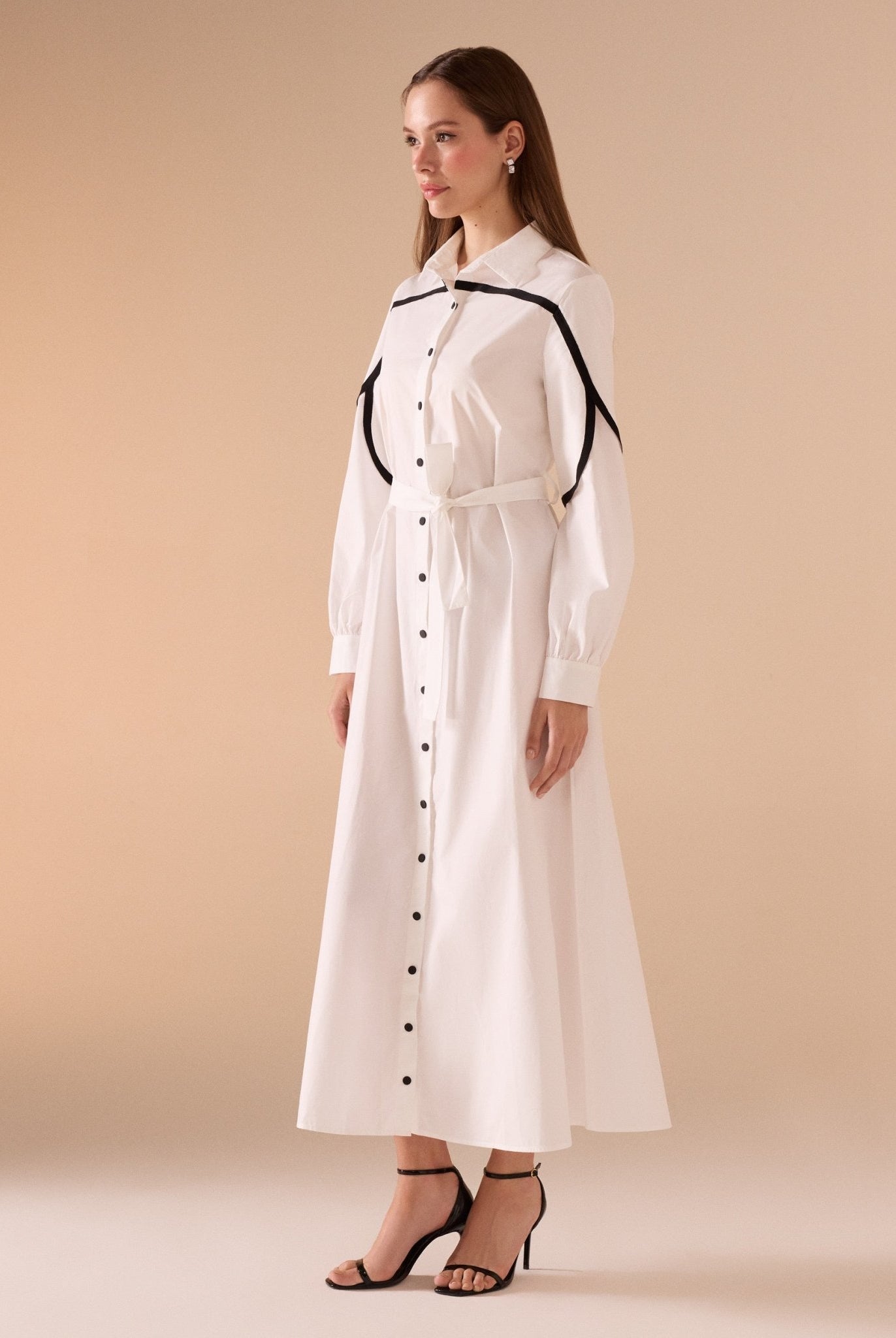 Long Sleeve Maxi Dress with line details - shopaleena