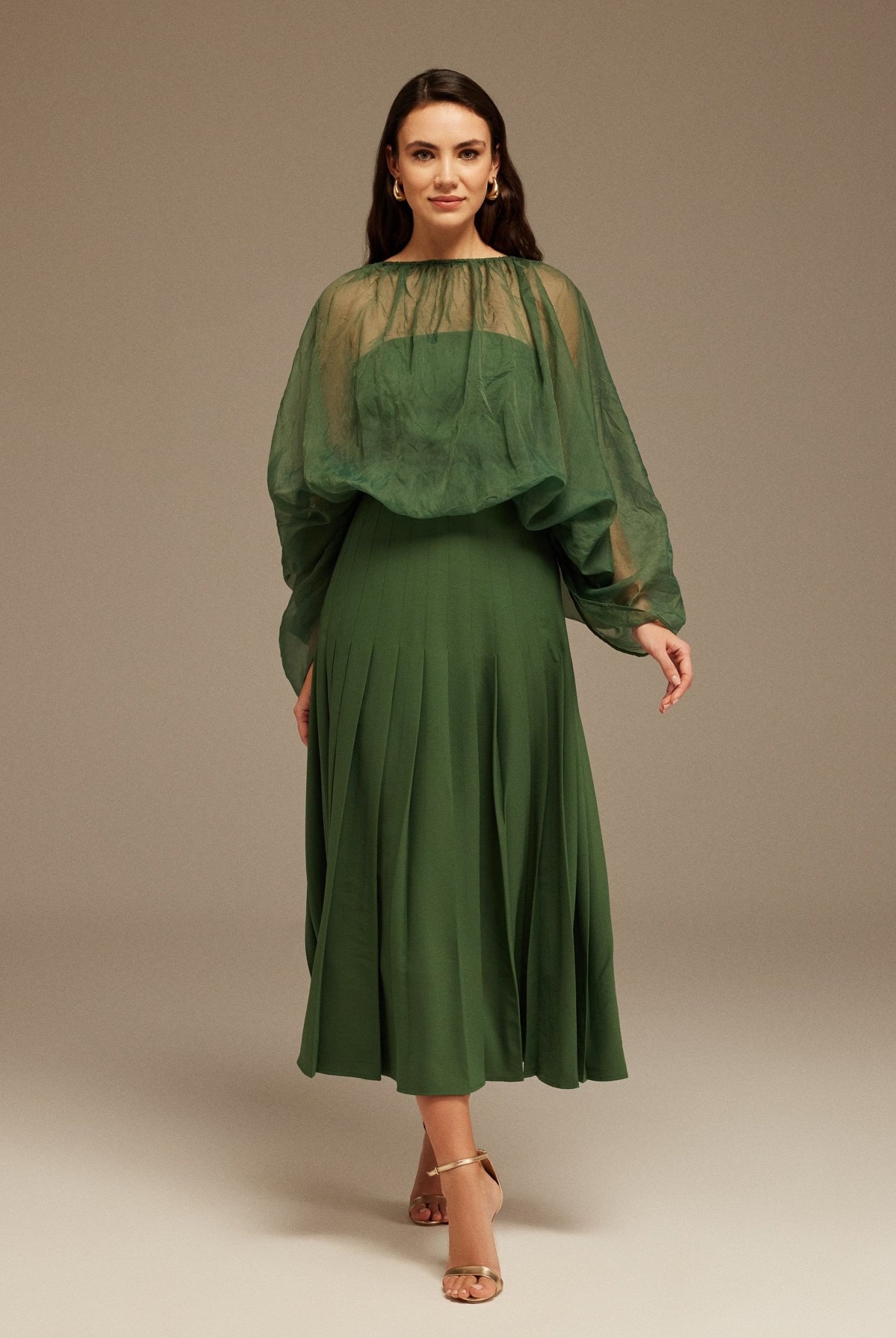 Long Sleeve Organza Top - shopaleena