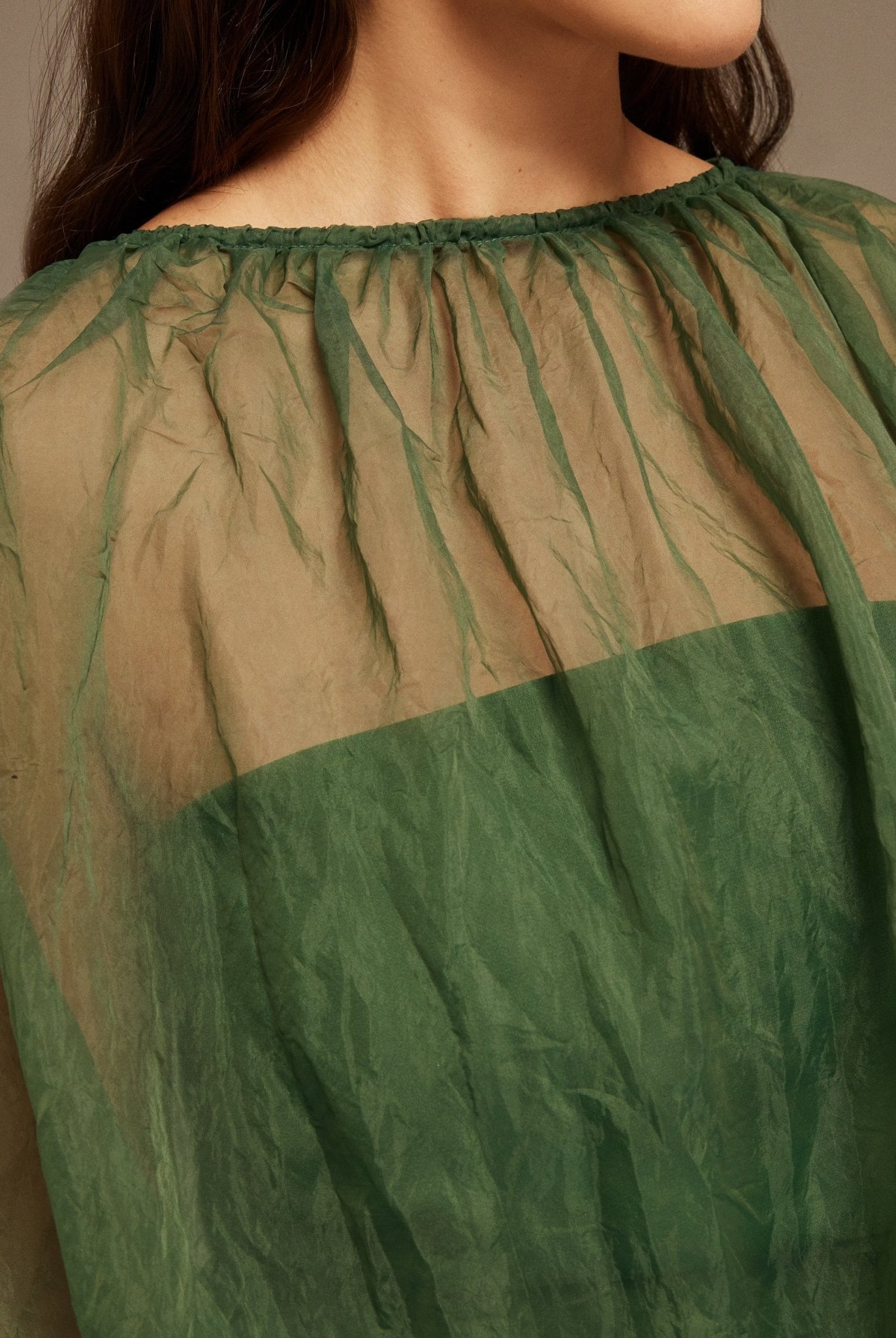 Long Sleeve Organza Top - shopaleena