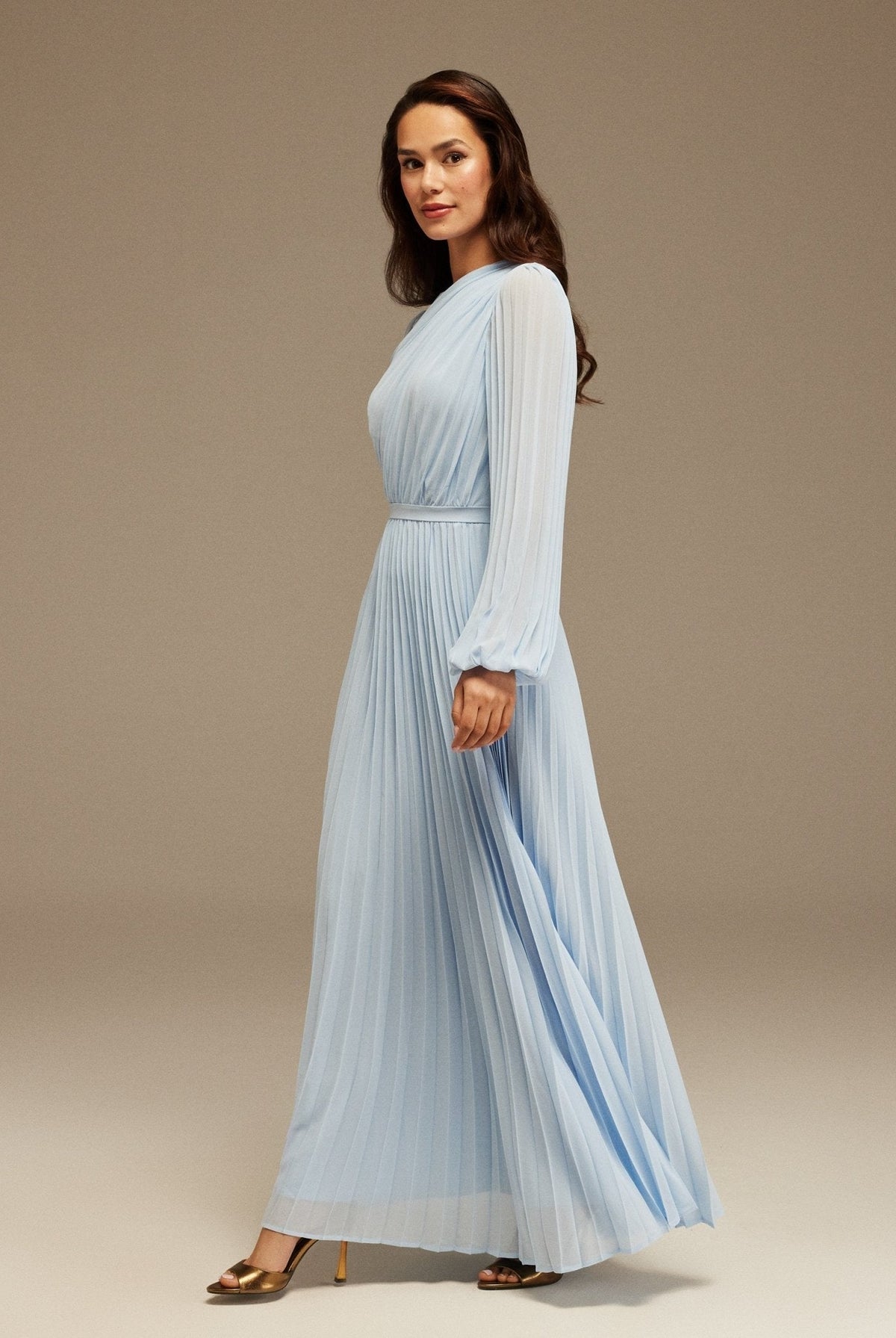 Pleated Long Sleeve Maxi Dress - shopaleena