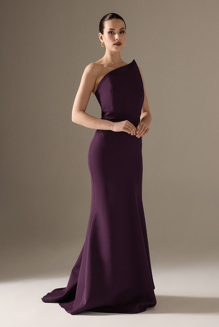 Plum Sleeveless Crepe Gown with Detailed Top - shopaleena
