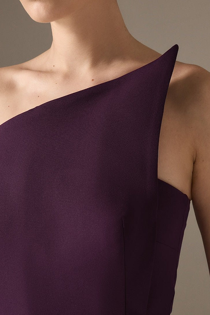 Plum Sleeveless Crepe Gown with Detailed Top - shopaleena