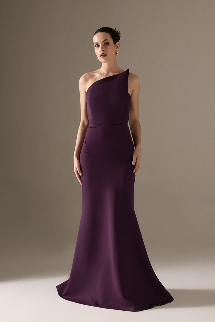 Plum Sleeveless Crepe Gown with Detailed Top - shopaleena