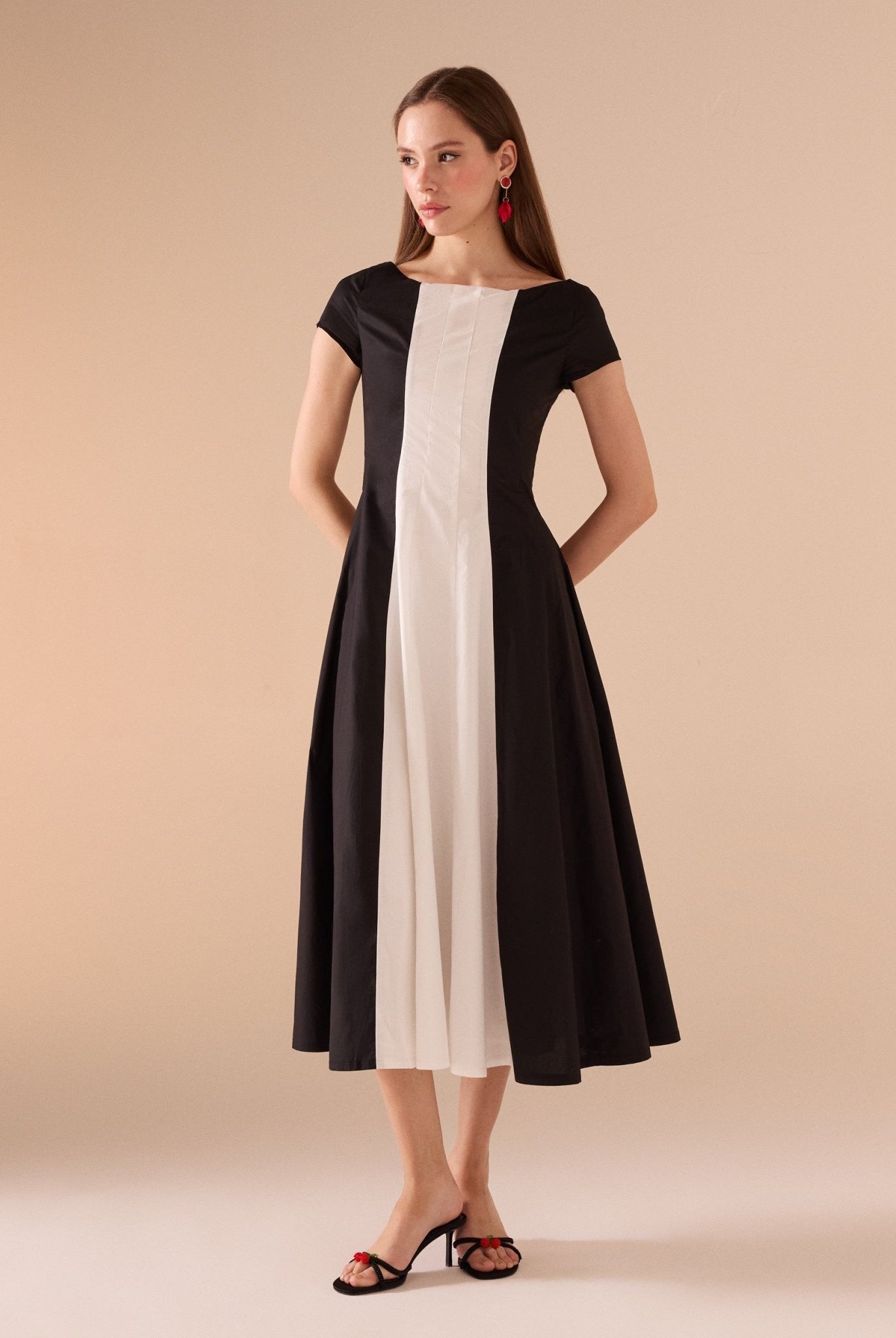 Short Sleeve Fitted Waist A - line Dress - shopaleena