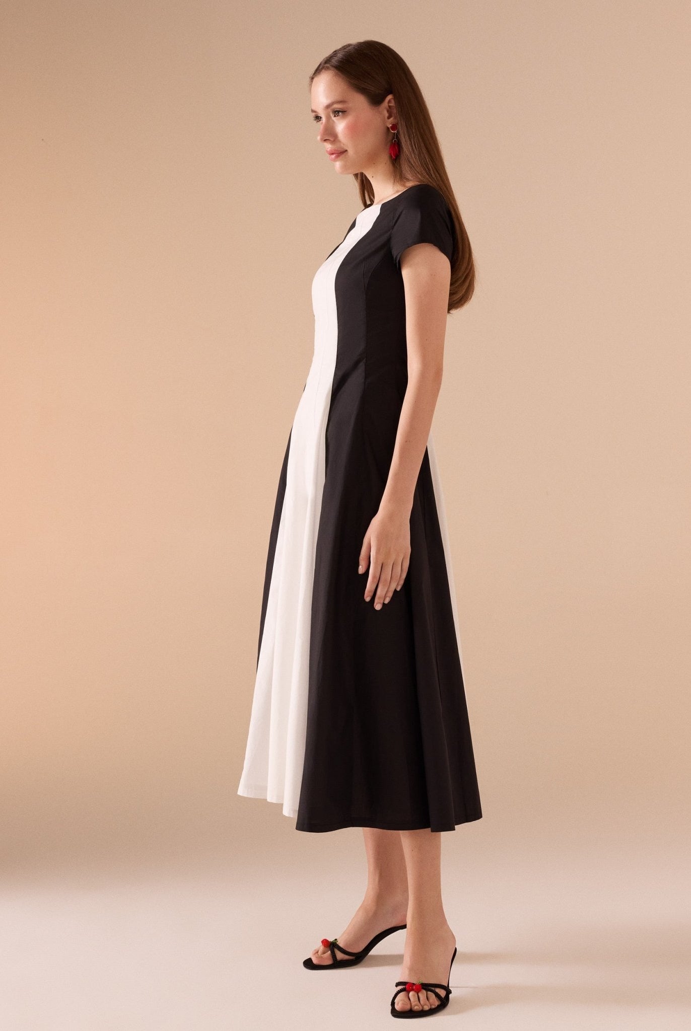 Short Sleeve Fitted Waist A - line Dress - shopaleena