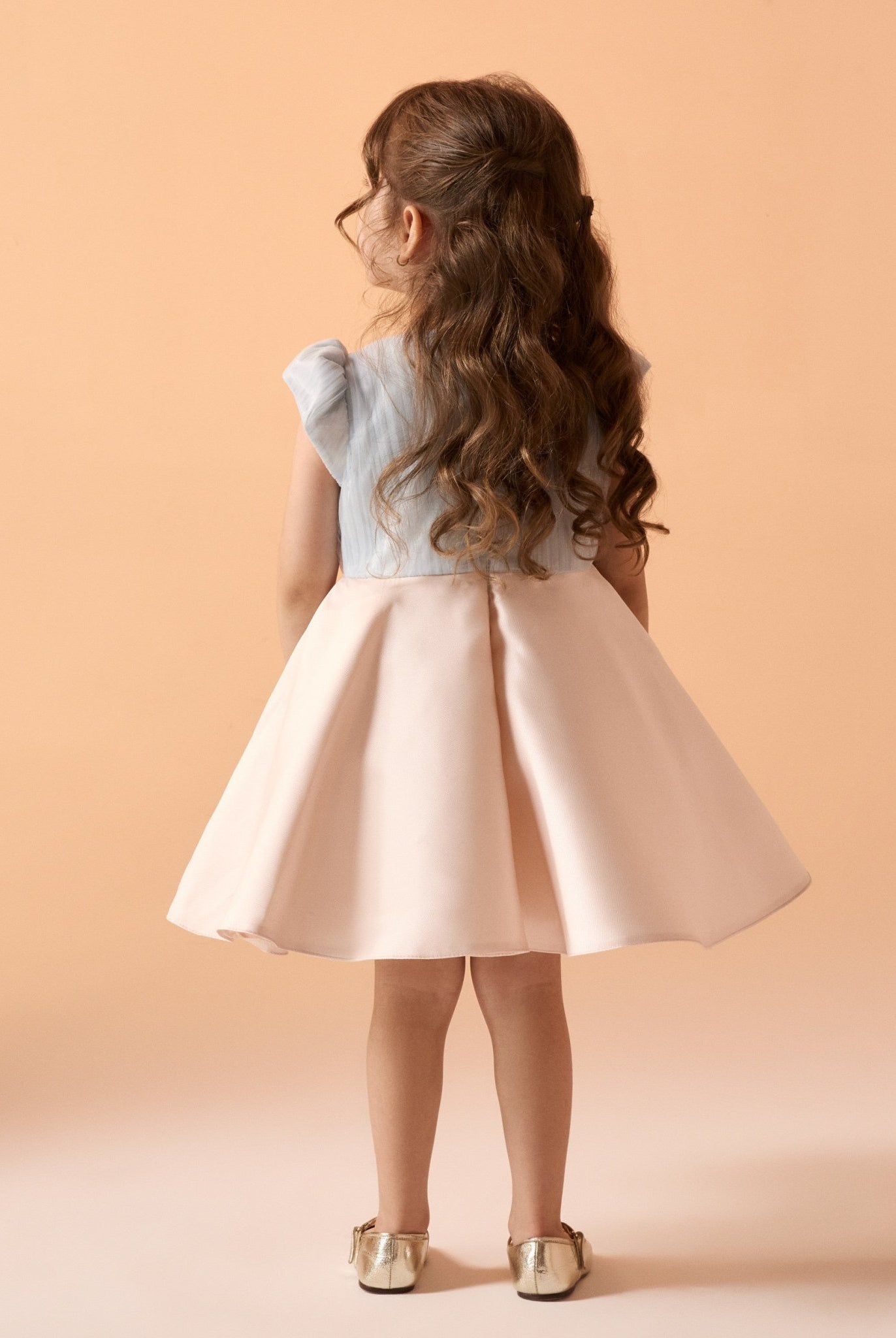 Short Sleeve Taffeta Dress - shopaleena