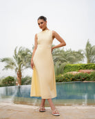 Sleeveless A - line midi dress with waist embroidery - shopaleena
