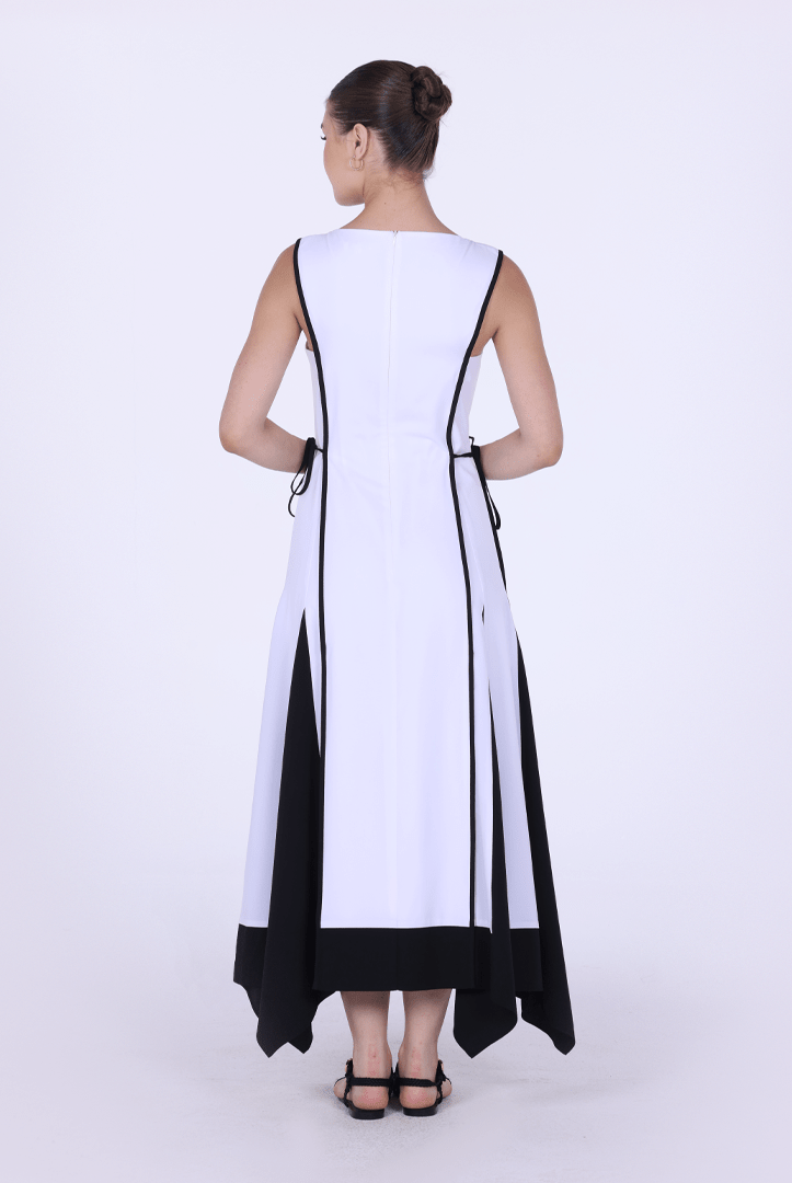 Sleeveless Contrast Panel Dress - shopaleena