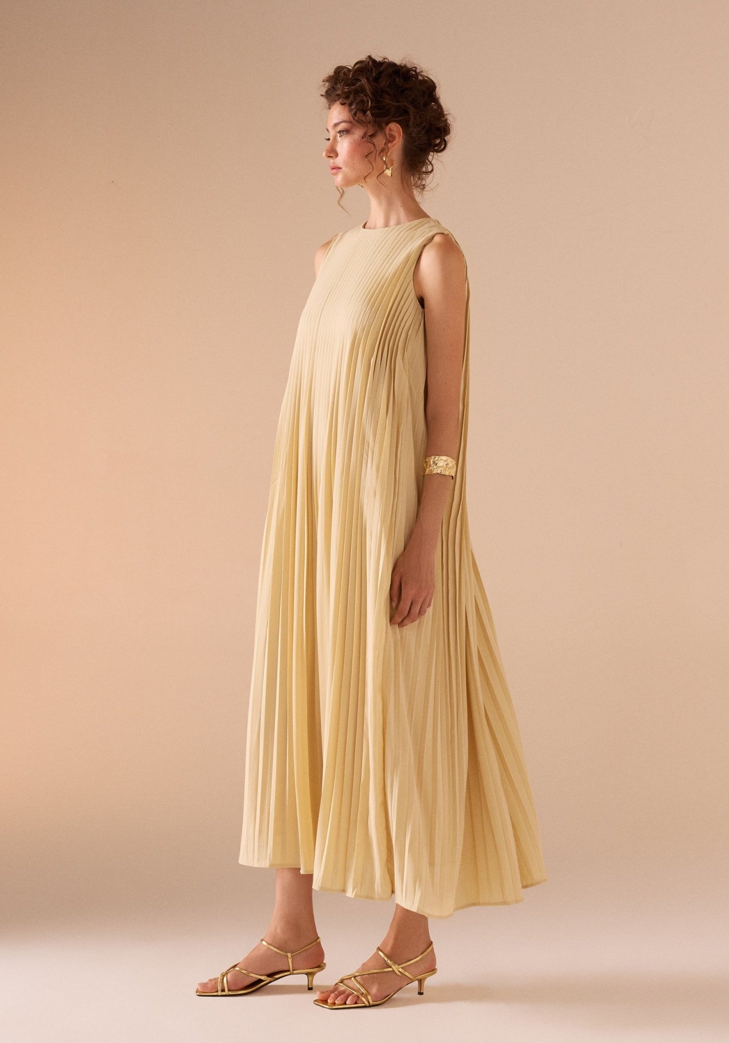 Sleeveless Crepe Pleated Dress - shopaleena