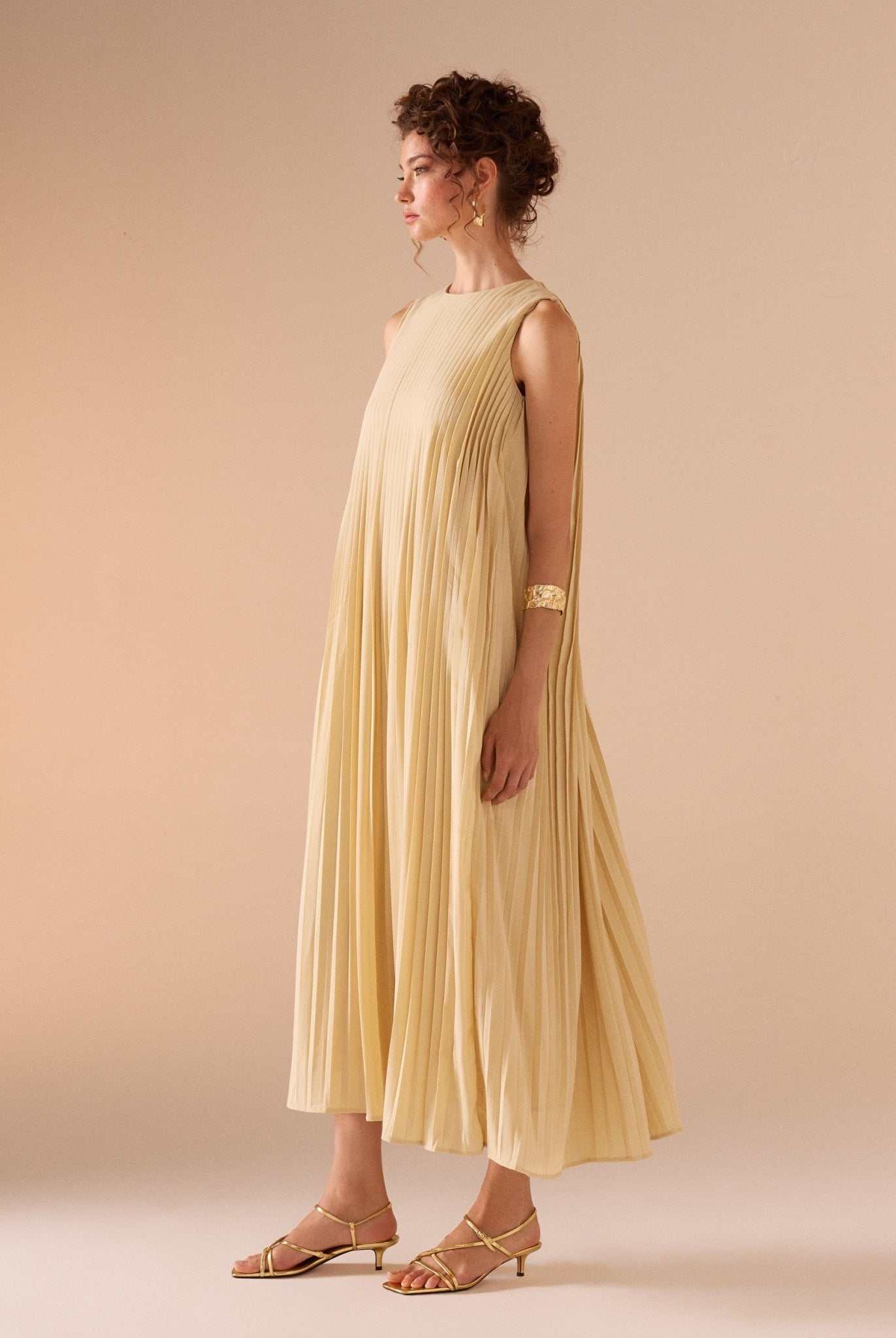 Sleeveless Crepe Pleated Dress - shopaleena