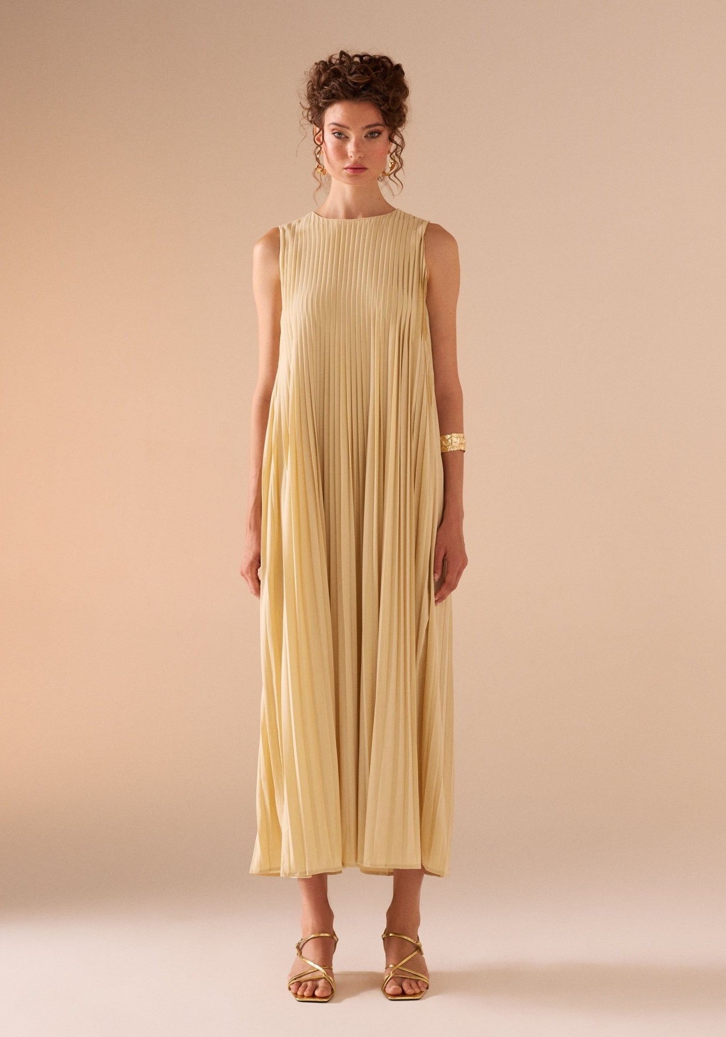 Sleeveless Crepe Pleated Dress - shopaleena