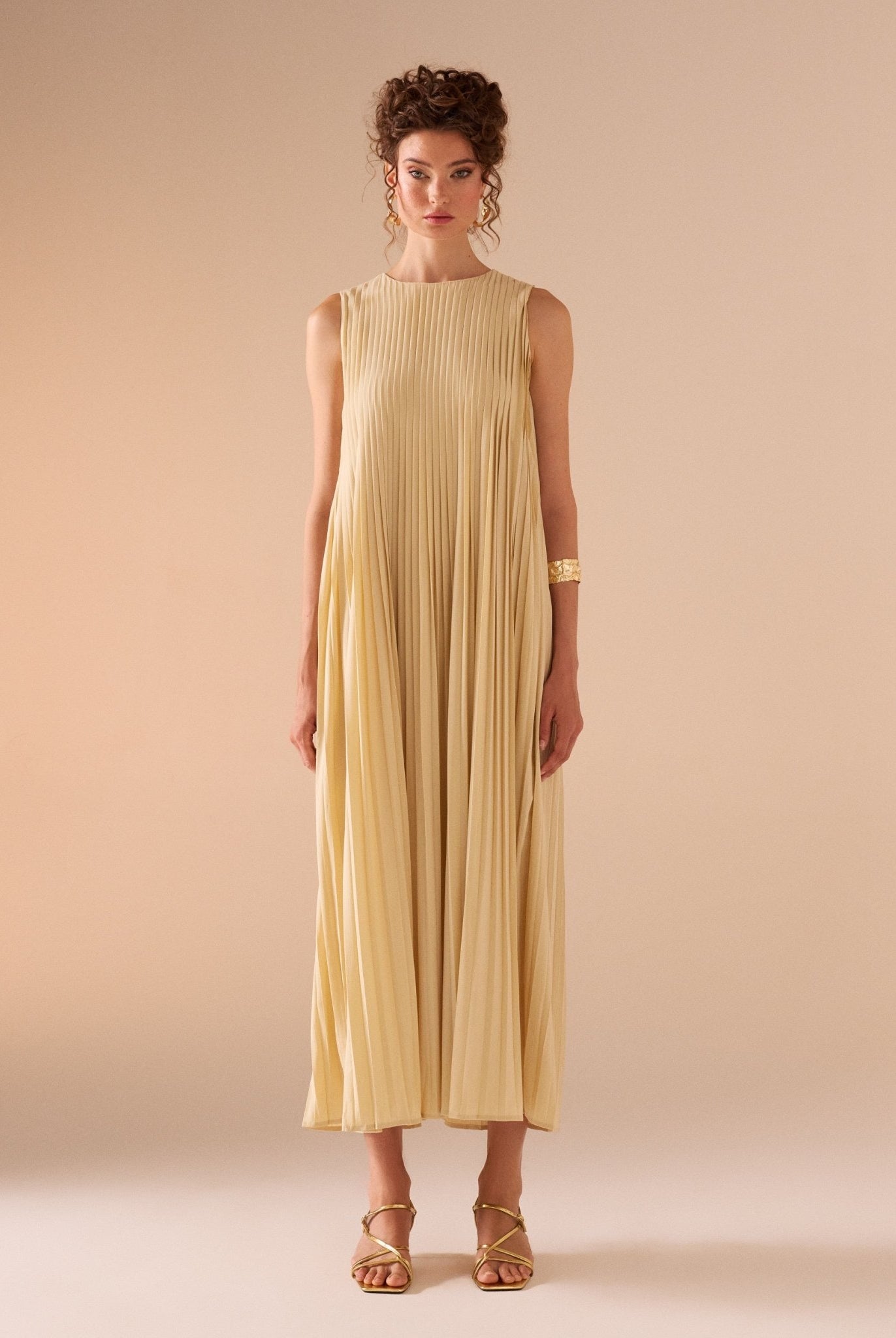 Sleeveless Crepe Pleated Dress - shopaleena