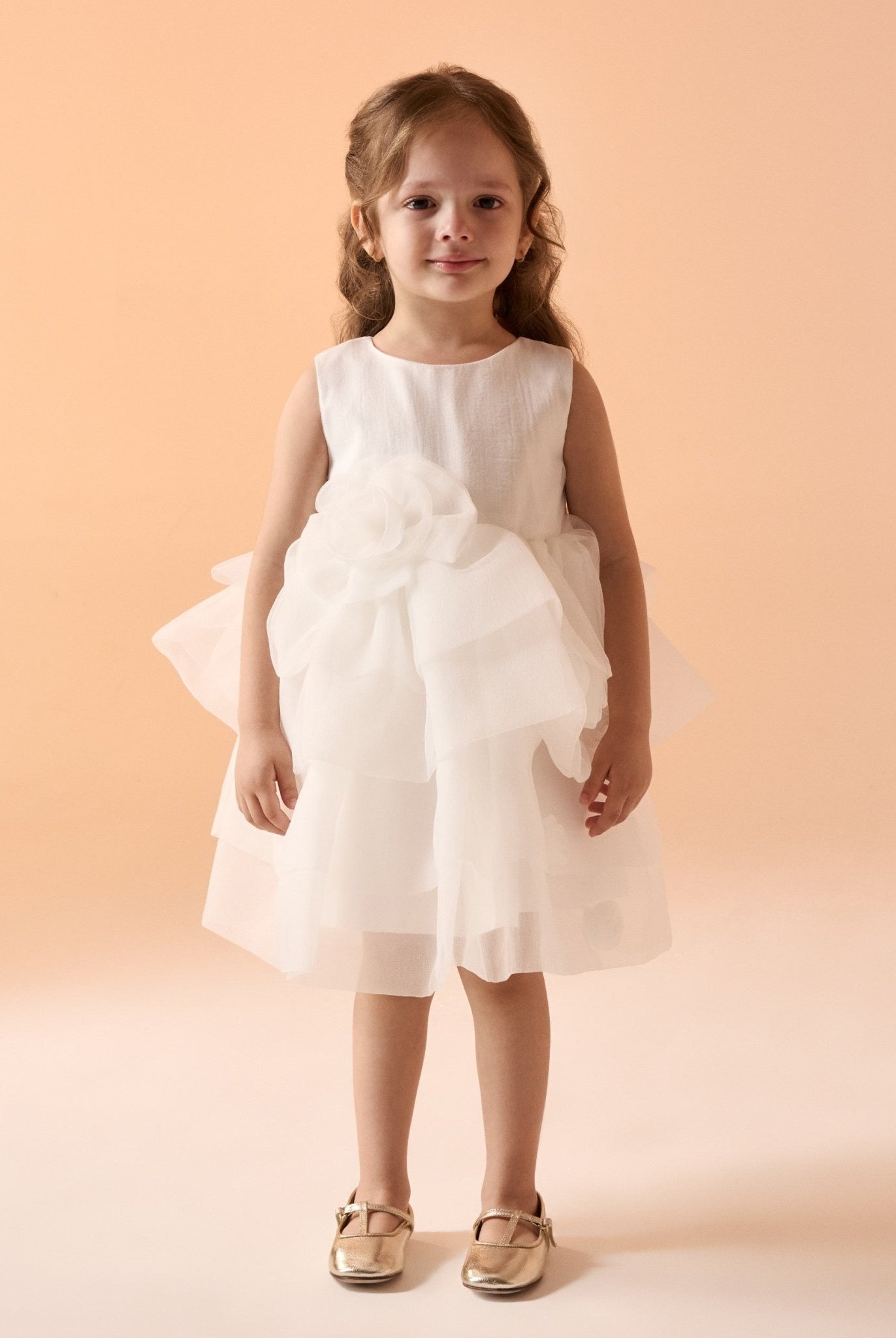 Sleeveless organza Dress - shopaleena