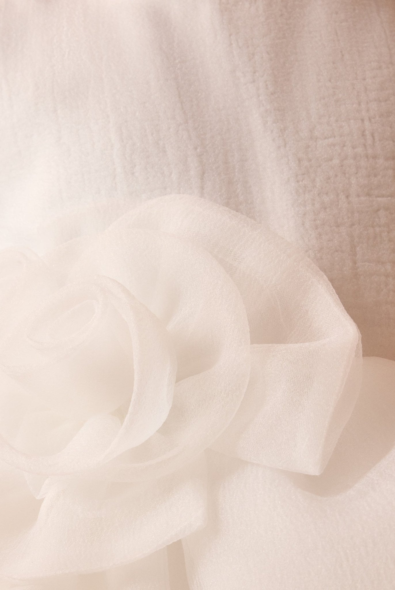 Sleeveless organza Dress - shopaleena