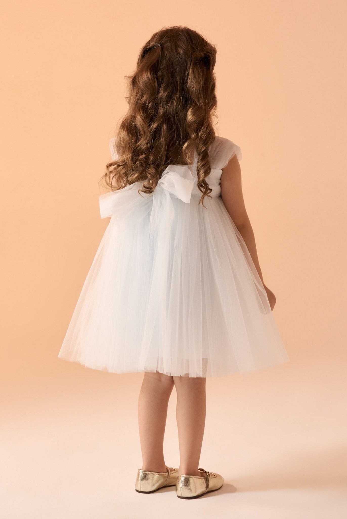 Sleeveless Tulle Dress With Flowers - shopaleena