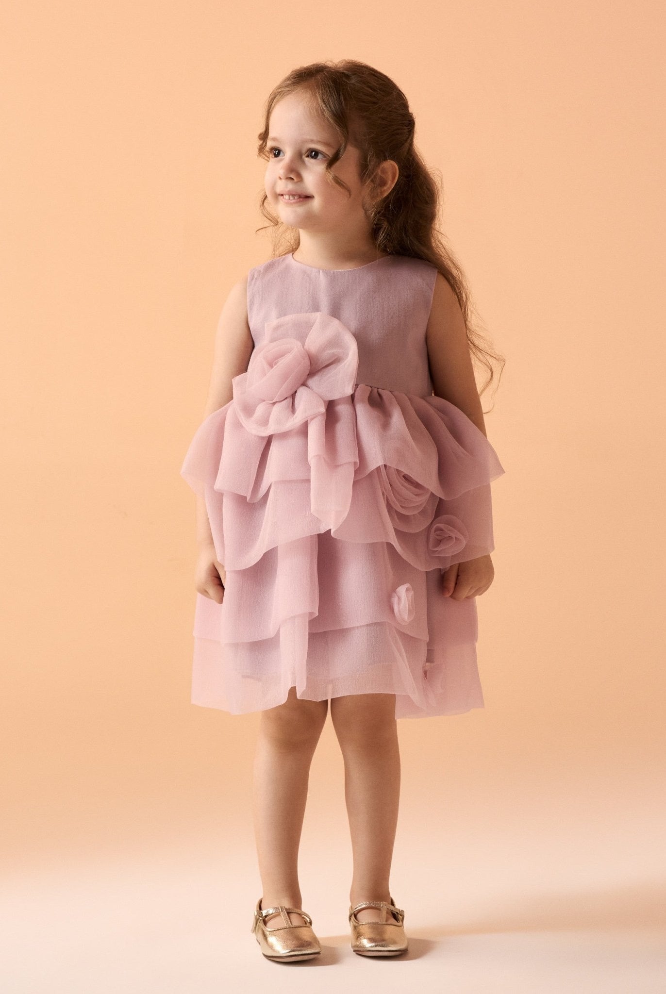 Sleeves organza Dress - shopaleena