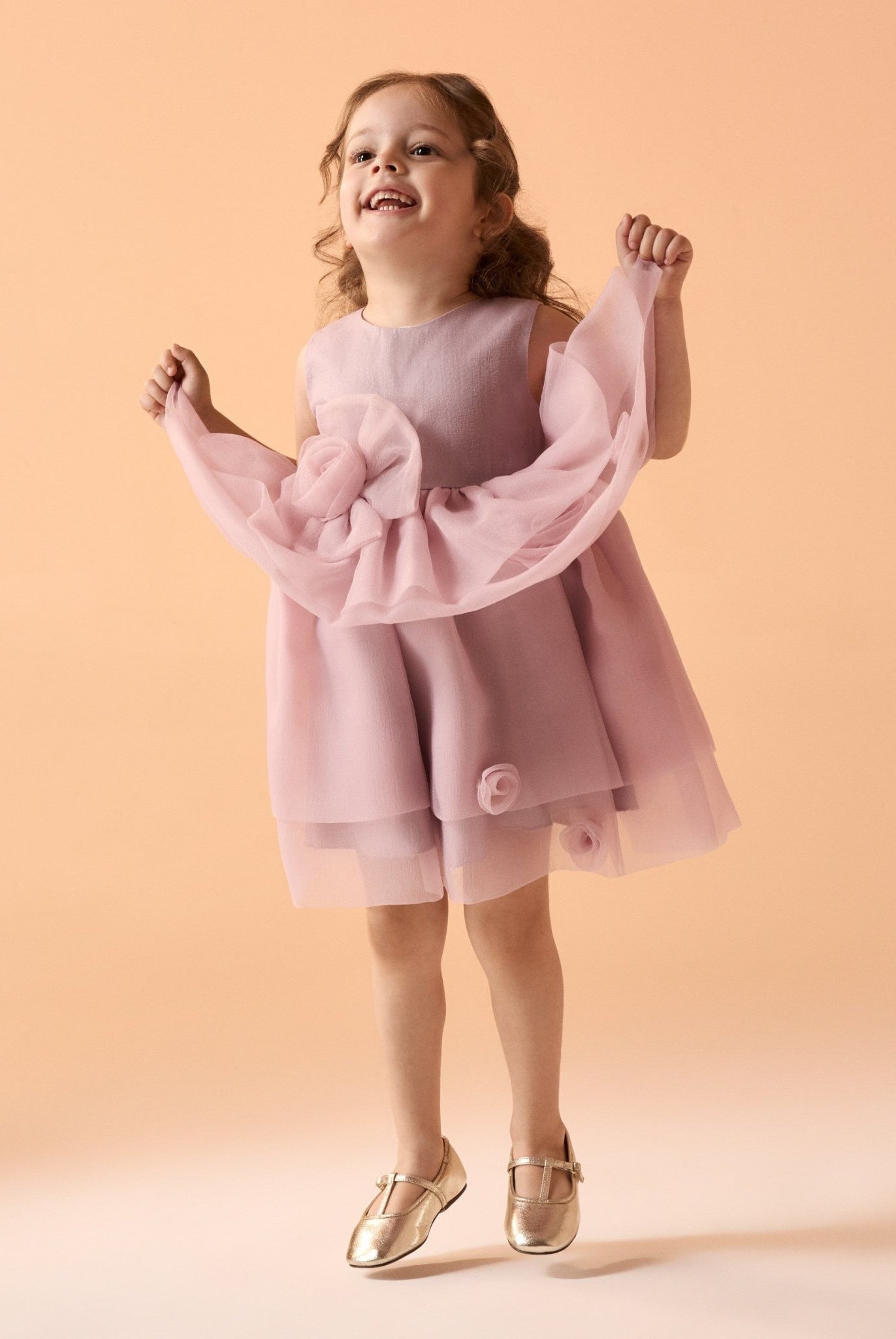 Sleeves organza Dress - shopaleena