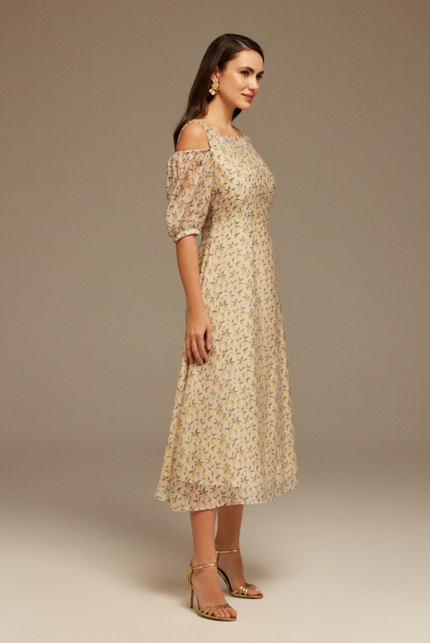 Square Neckline Puff Sleeve Printed Dress - shopaleena