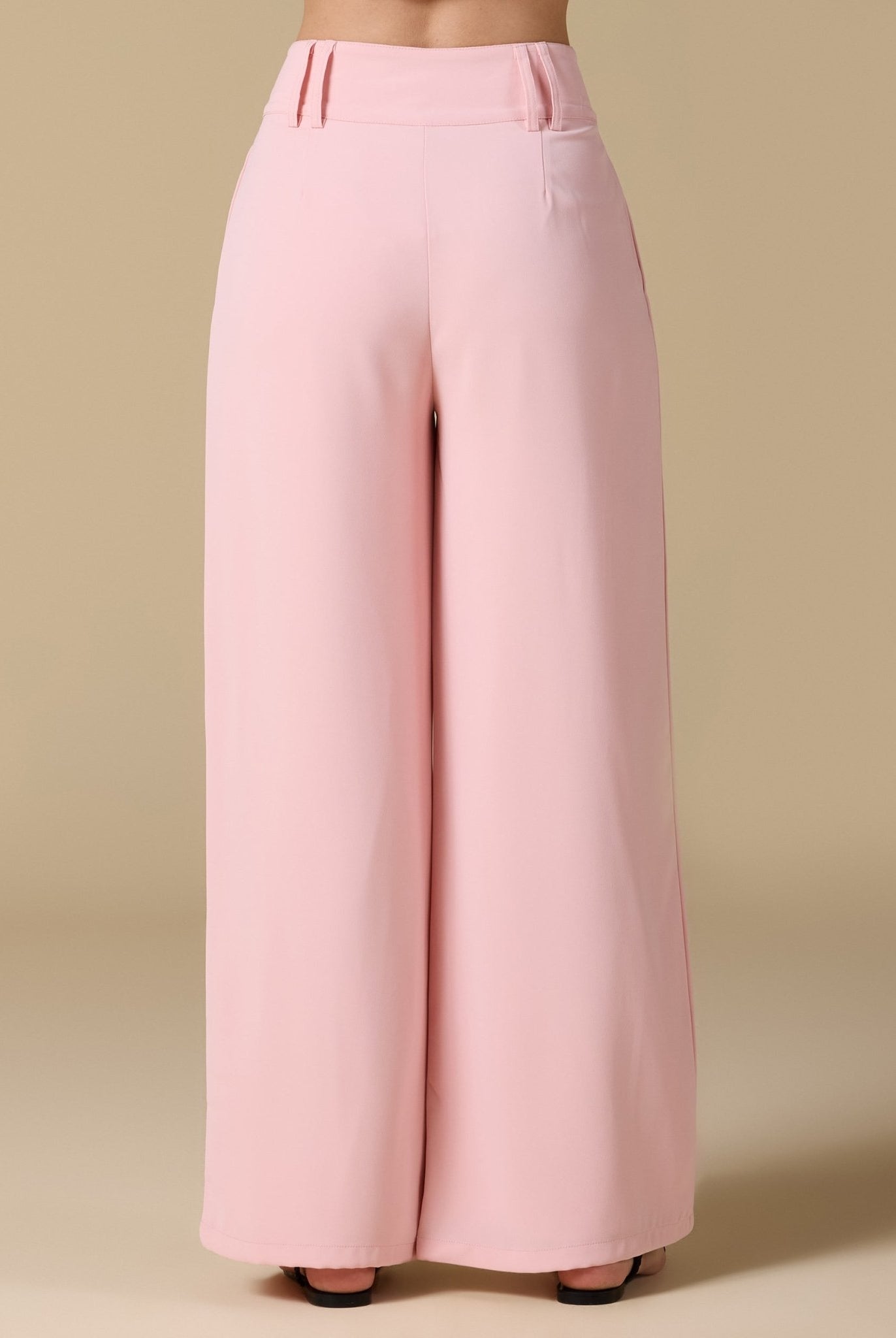 Wide - Leg Pleated Pants - shopaleena