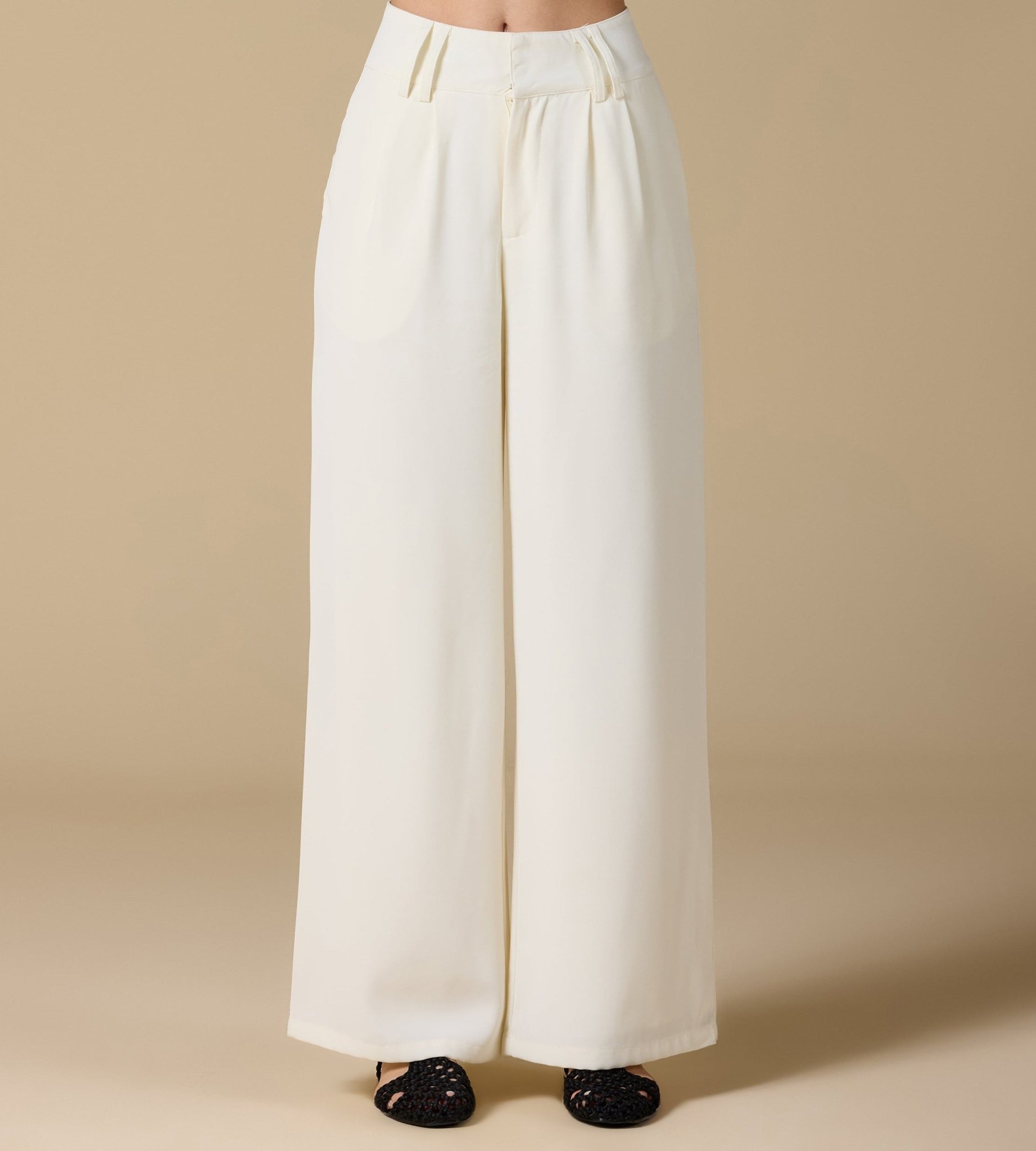 Wide - Leg Pleated Pants - shopaleena