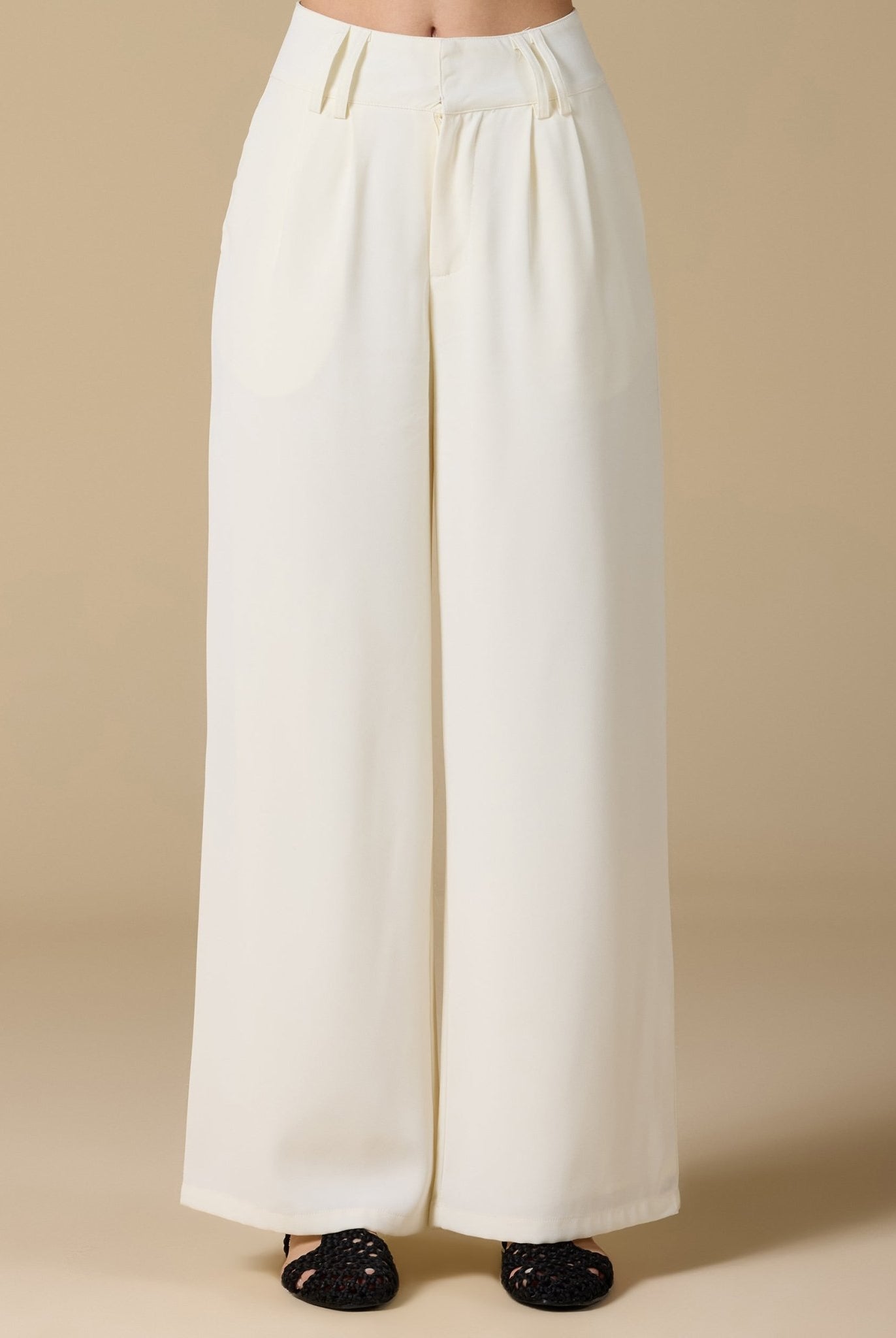 Wide - Leg Pleated Pants - shopaleena