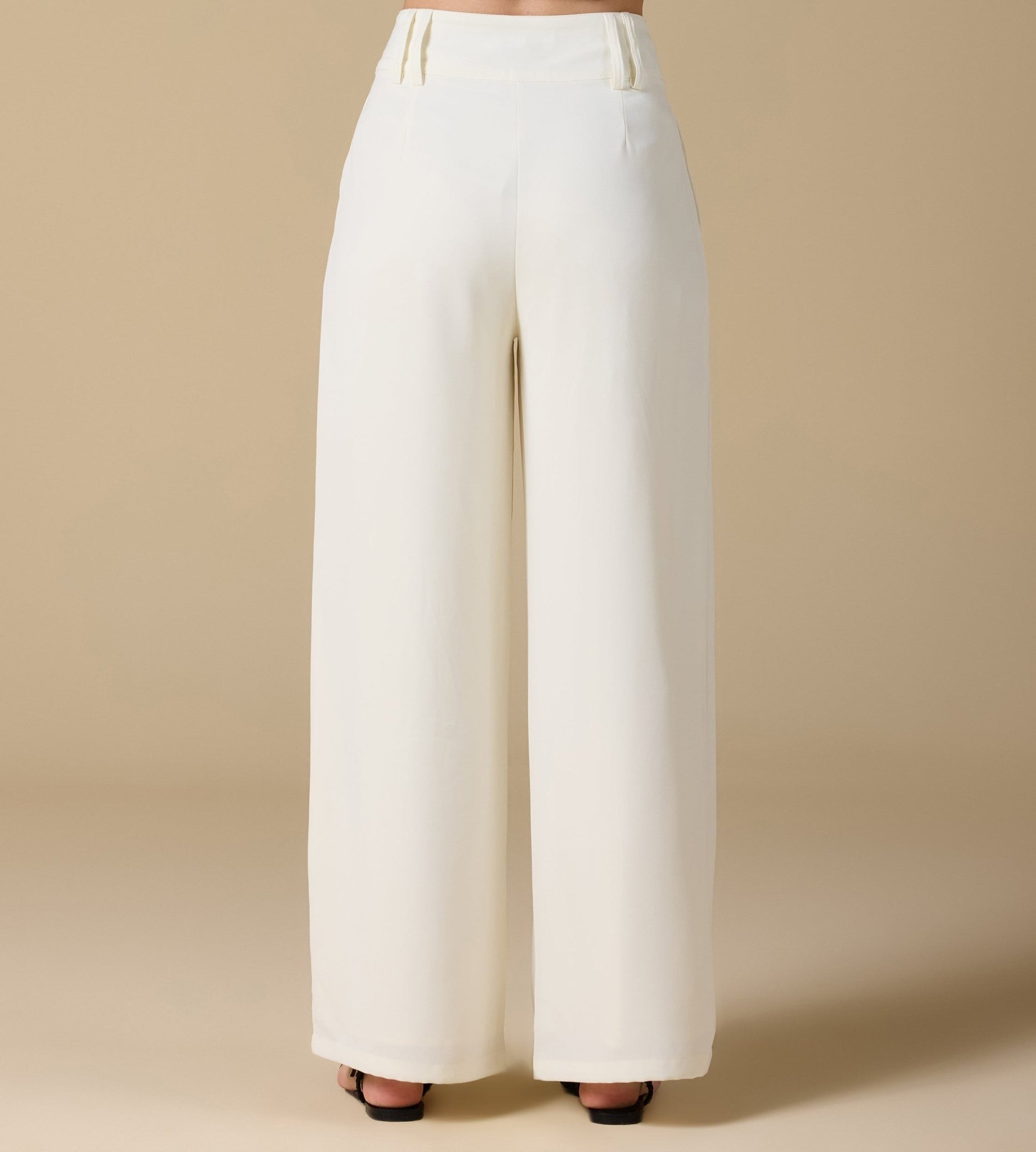 Wide - Leg Pleated Pants - shopaleena