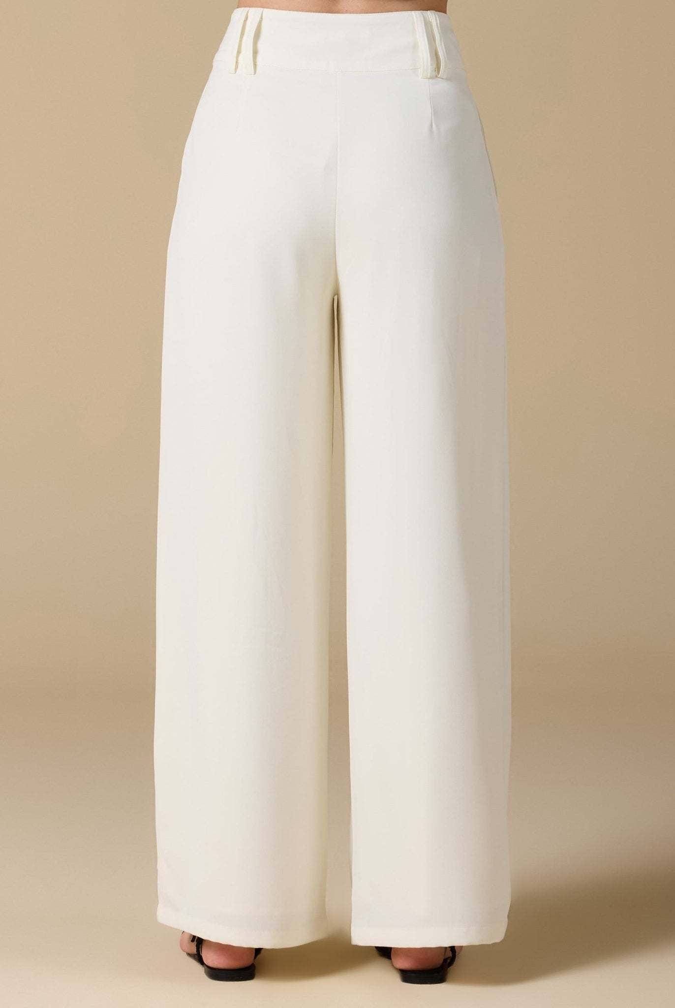 Wide - Leg Pleated Pants - shopaleena