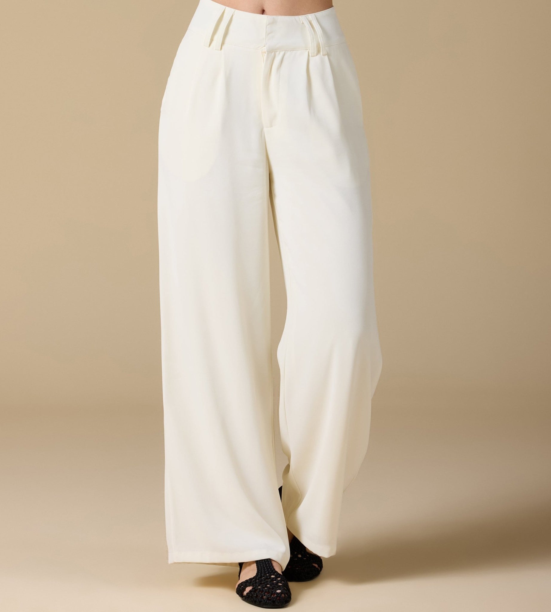 Wide - Leg Pleated Pants - shopaleena