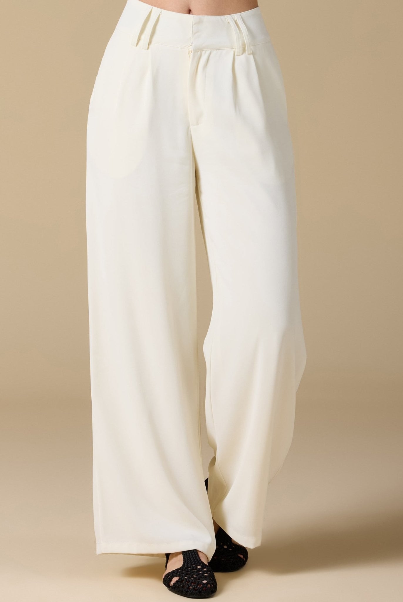 Wide - Leg Pleated Pants - shopaleena