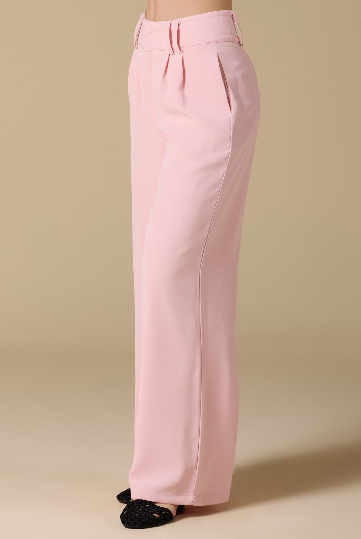 Wide - Leg Pleated Pants - shopaleena