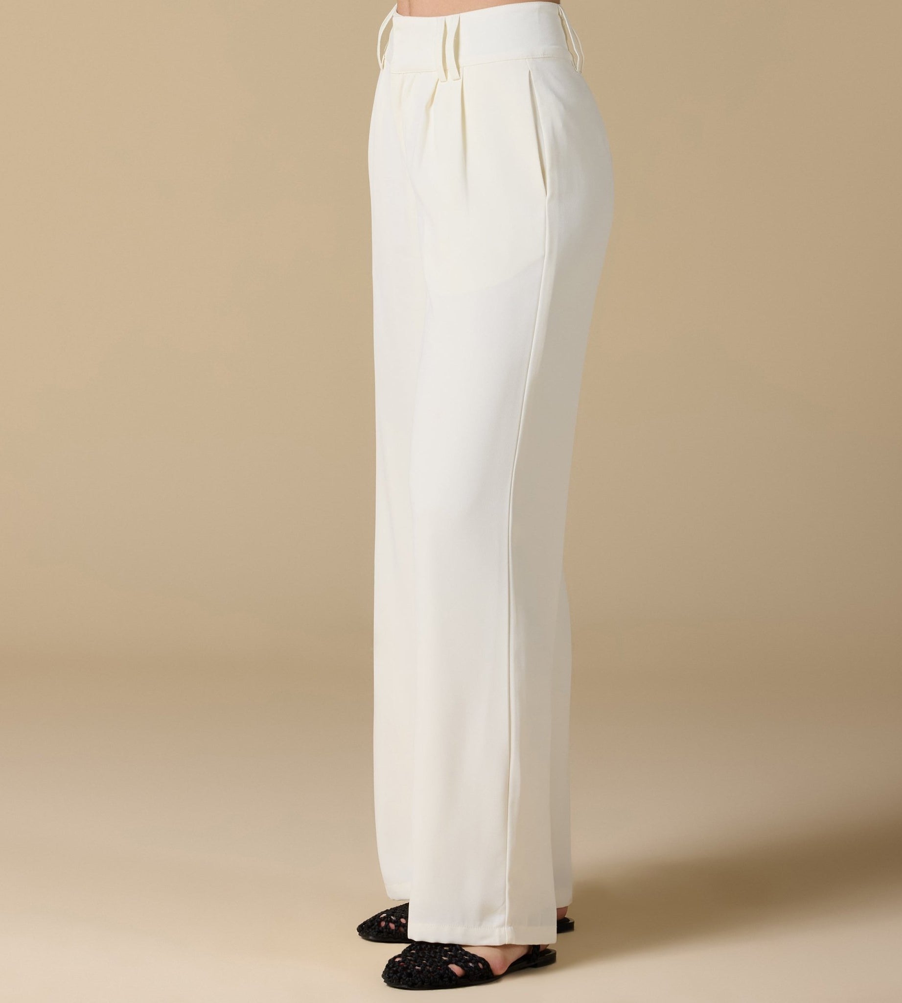 Wide - Leg Pleated Pants - shopaleena