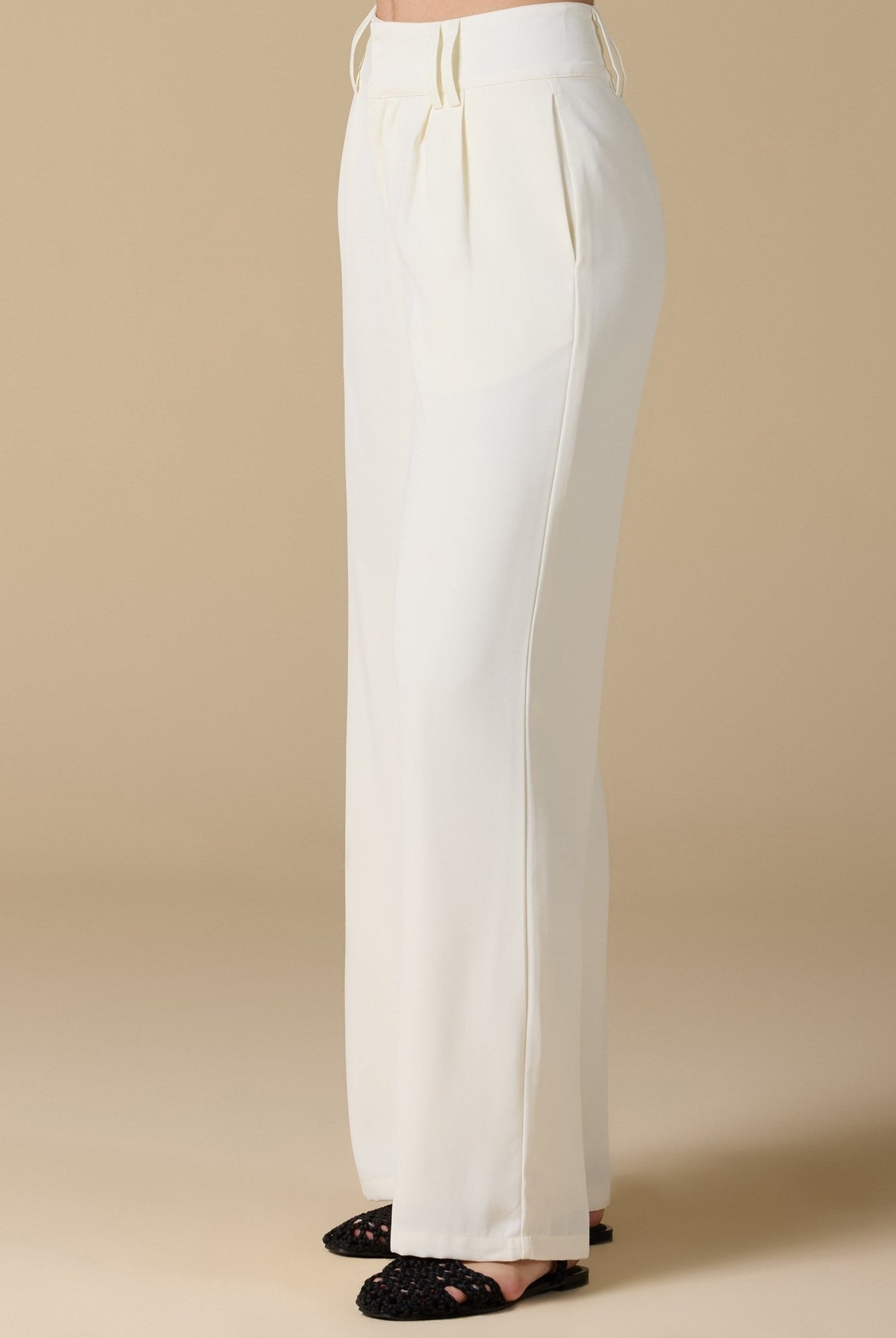 Wide - Leg Pleated Pants - shopaleena