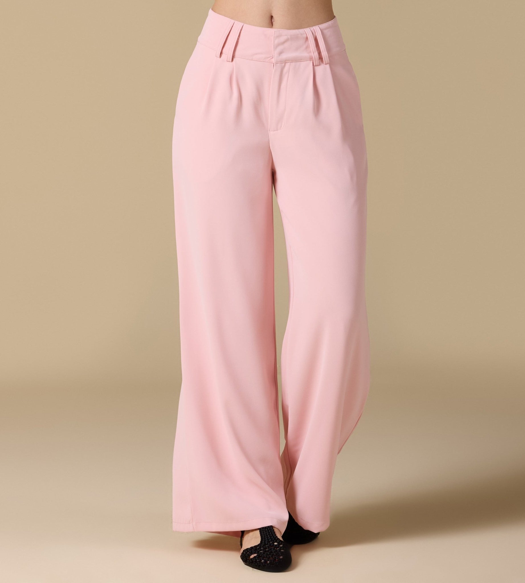 Wide - Leg Pleated Pants - shopaleena