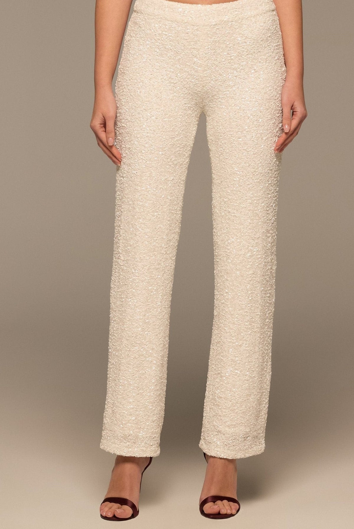 Wide Leg Sequin Pants - shopaleena