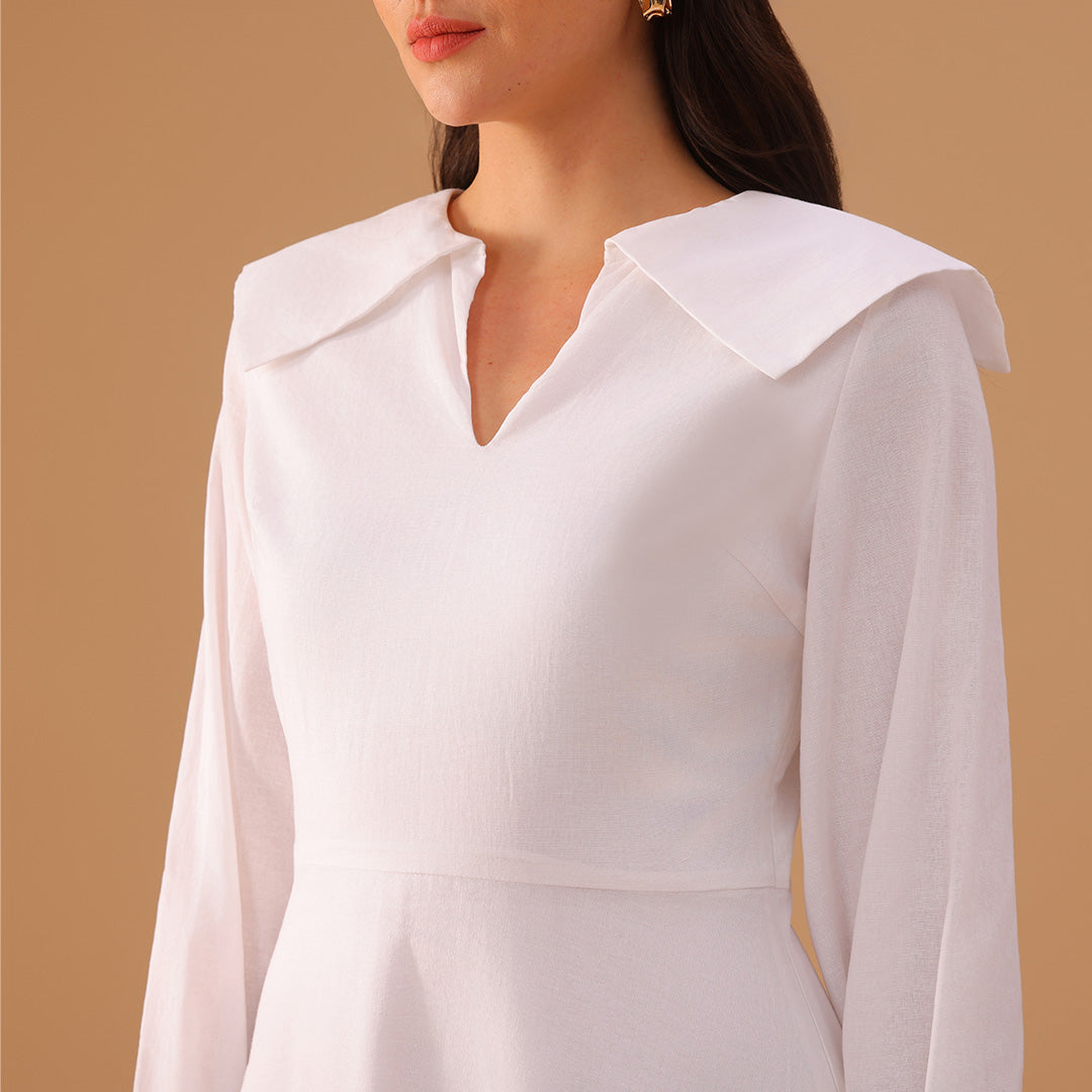 Linen Long Flared Sleeve A line Dress – shopaleena