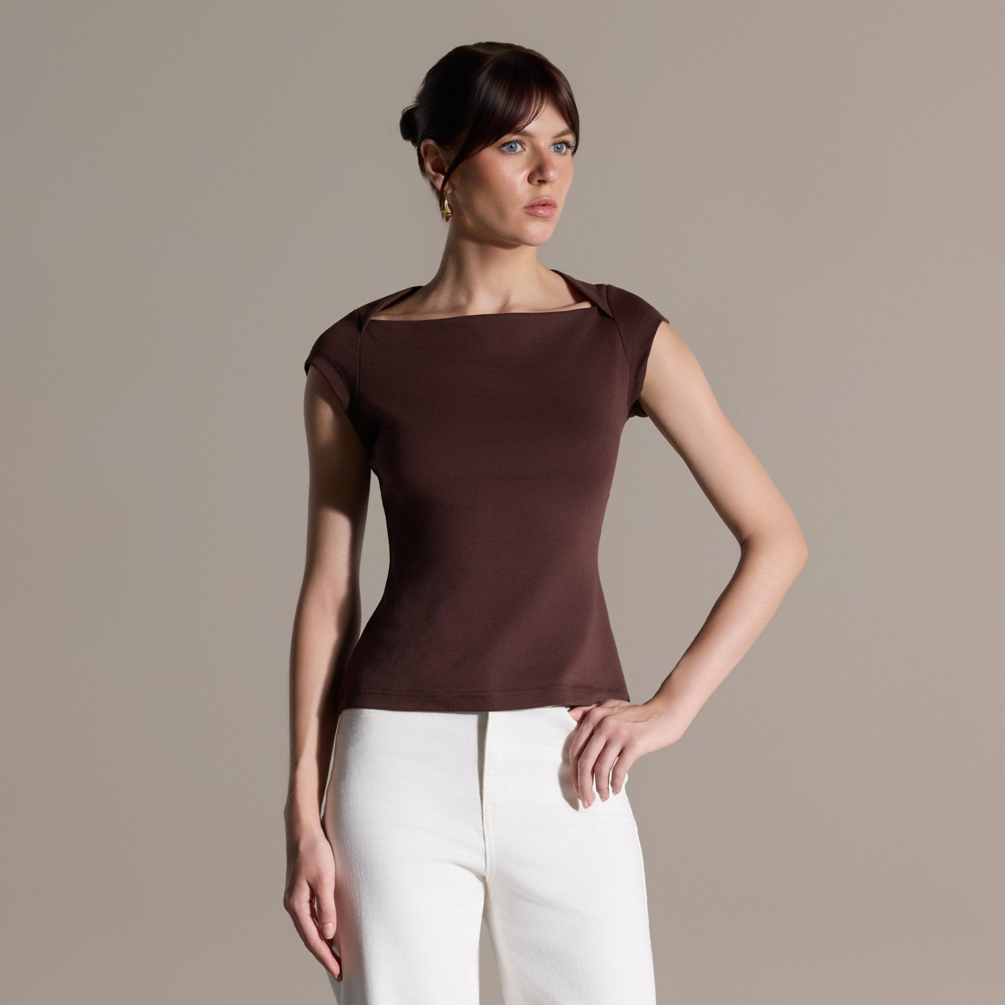 Brown Cap Sleeve Fitted Top - shopaleena